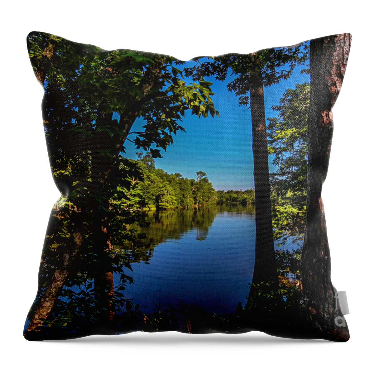 Park Throw Pillow featuring the photograph Down the River by Ken Frischkorn