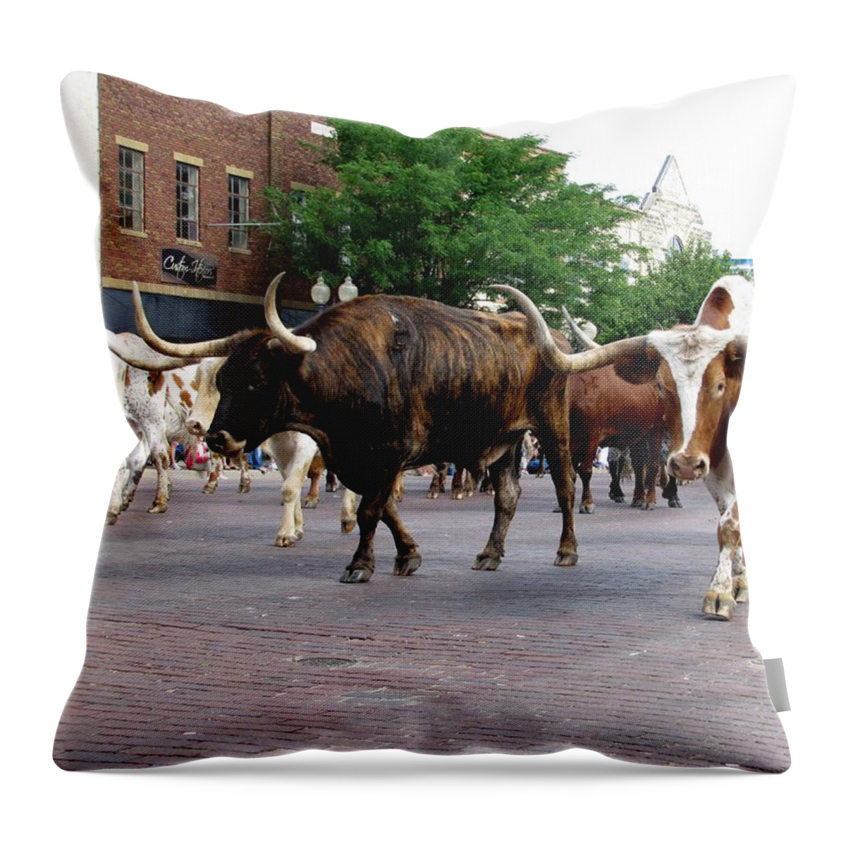 Longhorns Throw Pillow featuring the photograph Downtown Cattle Drive by Keith Stokes