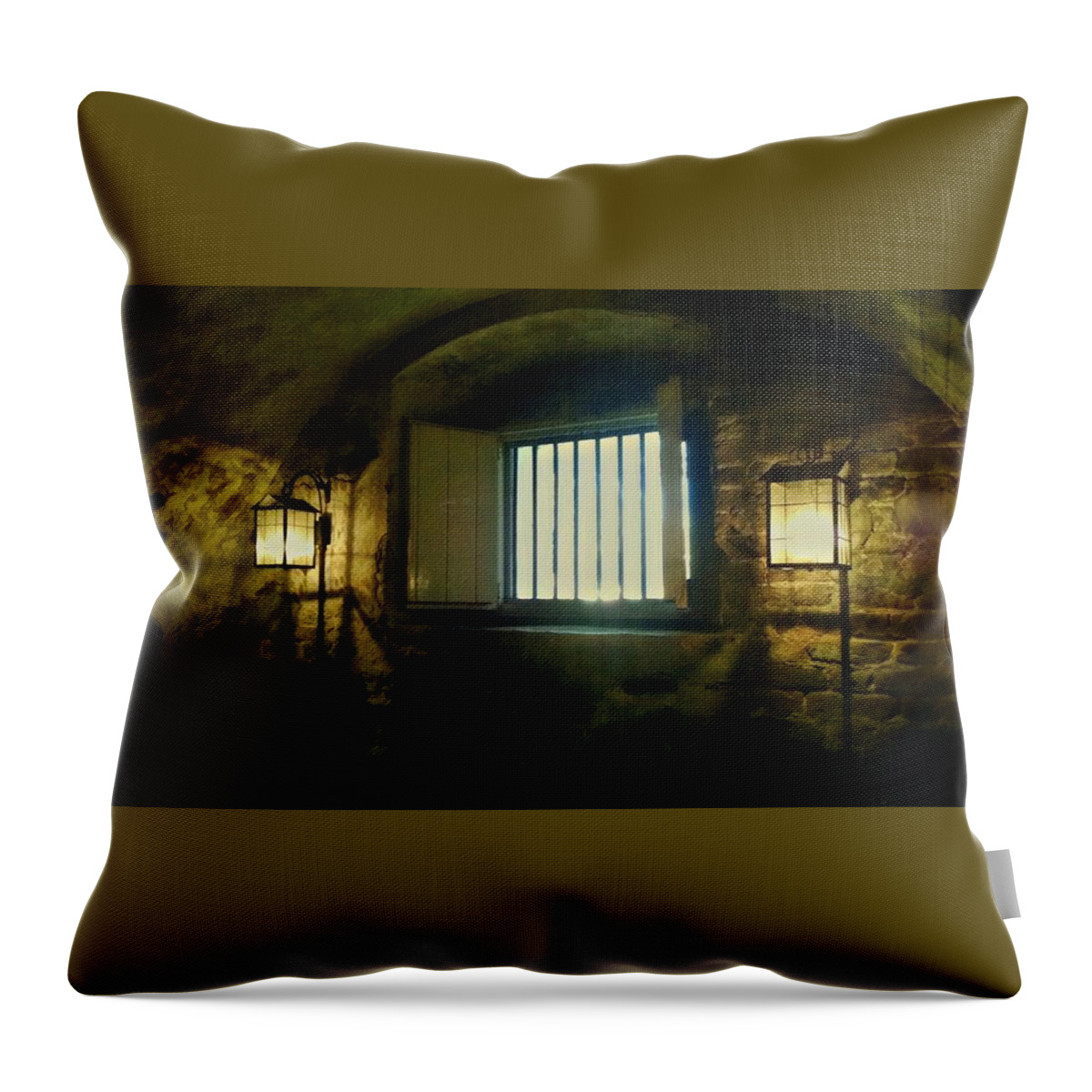 Dungeon Throw Pillow featuring the photograph Downtown Dungeon by Sherry Kuhlkin