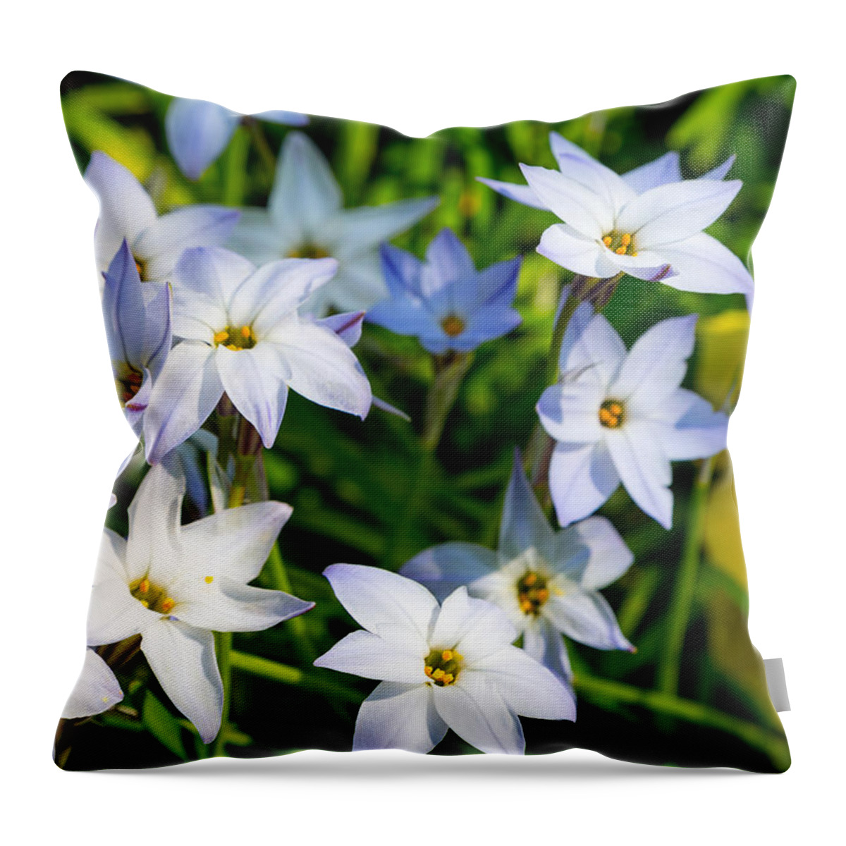 Steven Green Throw Pillow featuring the photograph Downtown Wildflowers by SR Green