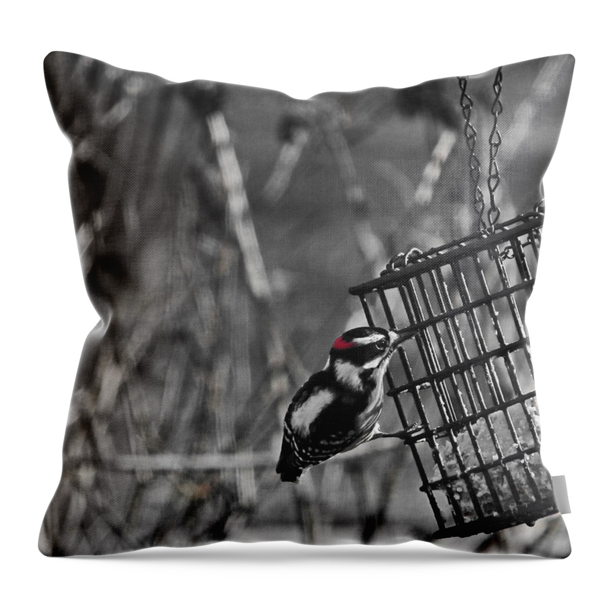 Downy Woodpecker Throw Pillow featuring the photograph Downy Woodpecker on Suet cage by Judy Wanamaker