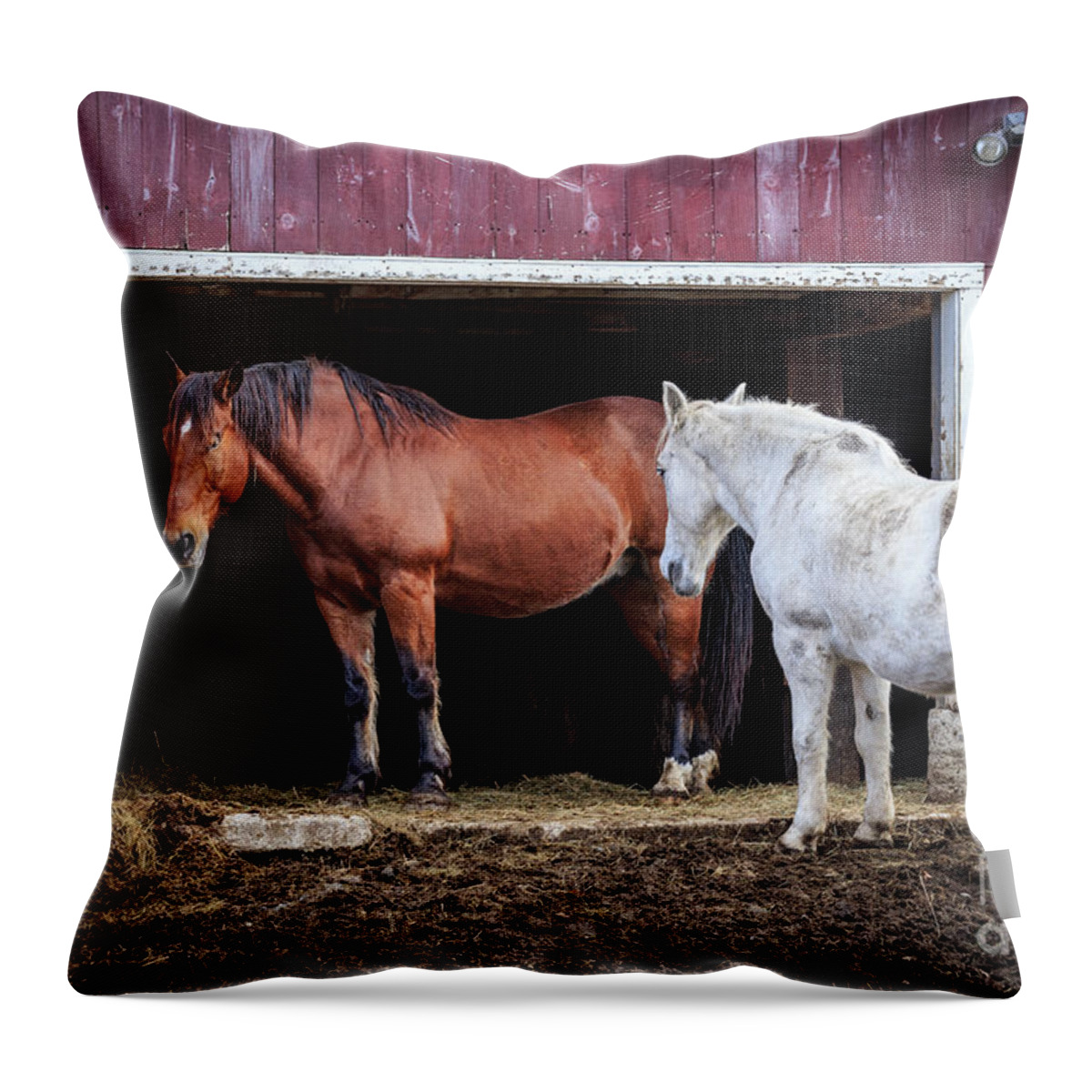 Draft Horses Throw Pillow featuring the photograph Draft Horses by Jim Gillen