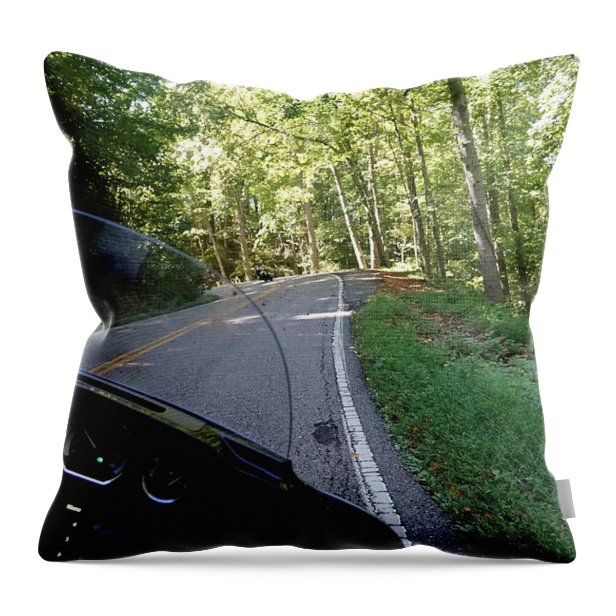 Deals Gap Throw Pillow featuring the photograph Dragon Curves by Laurie Perry