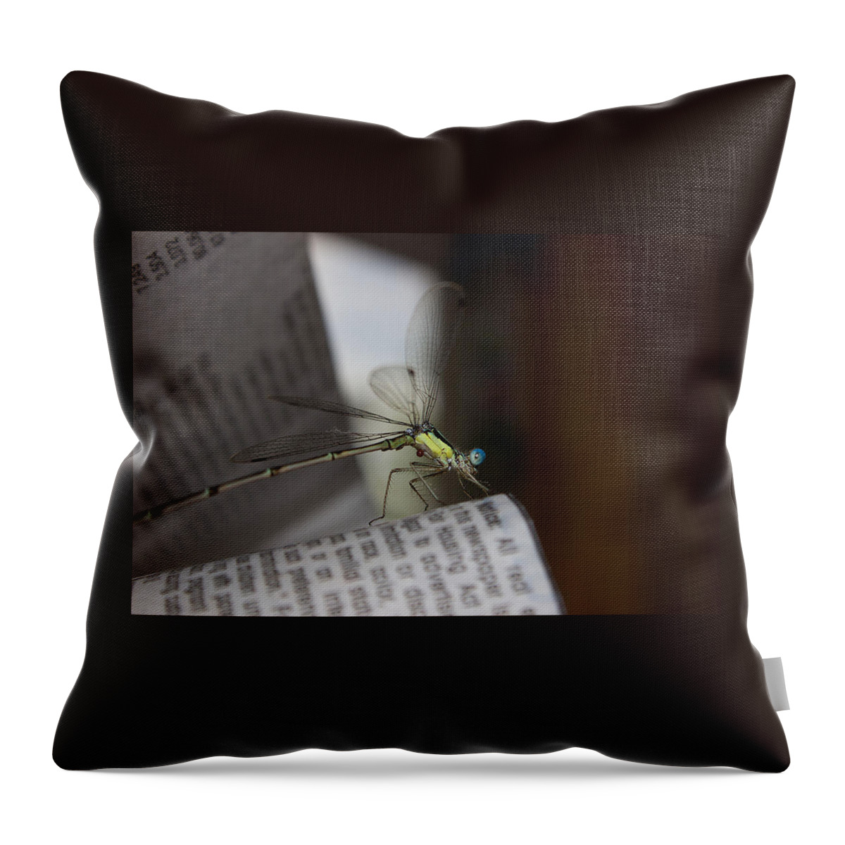 Dragonfly Throw Pillow featuring the photograph Dragon Times by Sheryl Mayhew