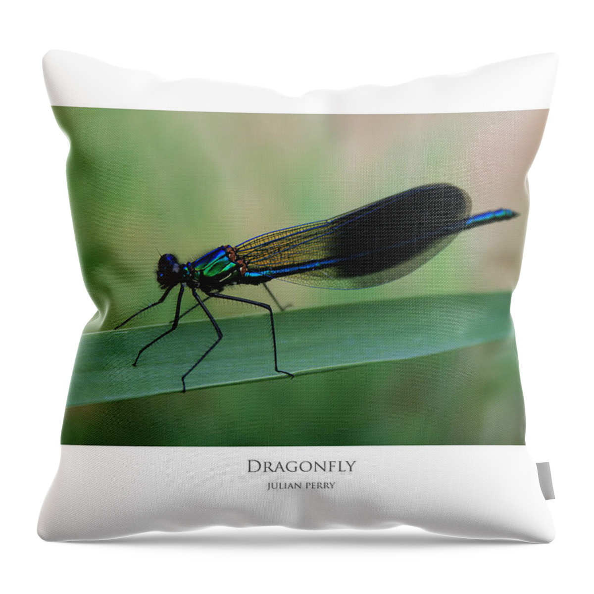 Dragonfly Throw Pillow featuring the digital art Dragonfly by Julian Perry