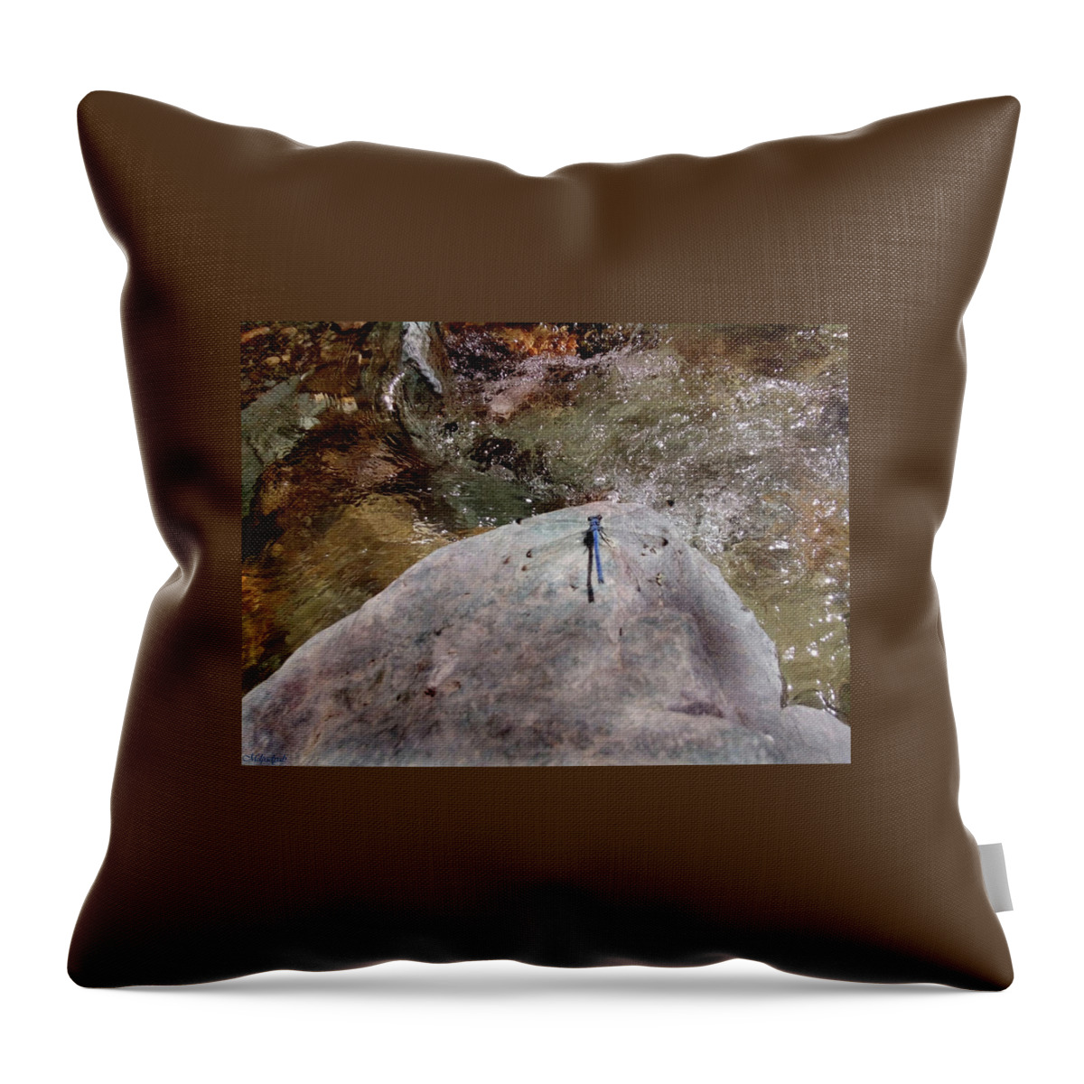 Dragonfly Throw Pillow featuring the photograph Dragonfly by Mariel Mcmeeking