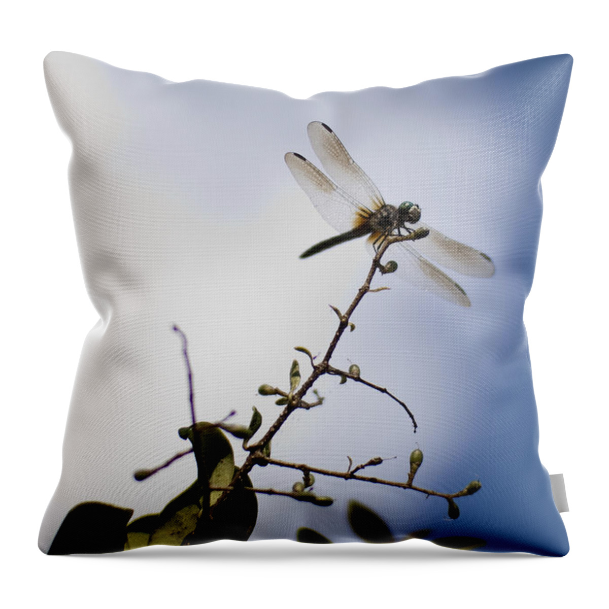 Dragonfly Throw Pillow featuring the photograph Dragonfly On A Limb by Dustin K Ryan