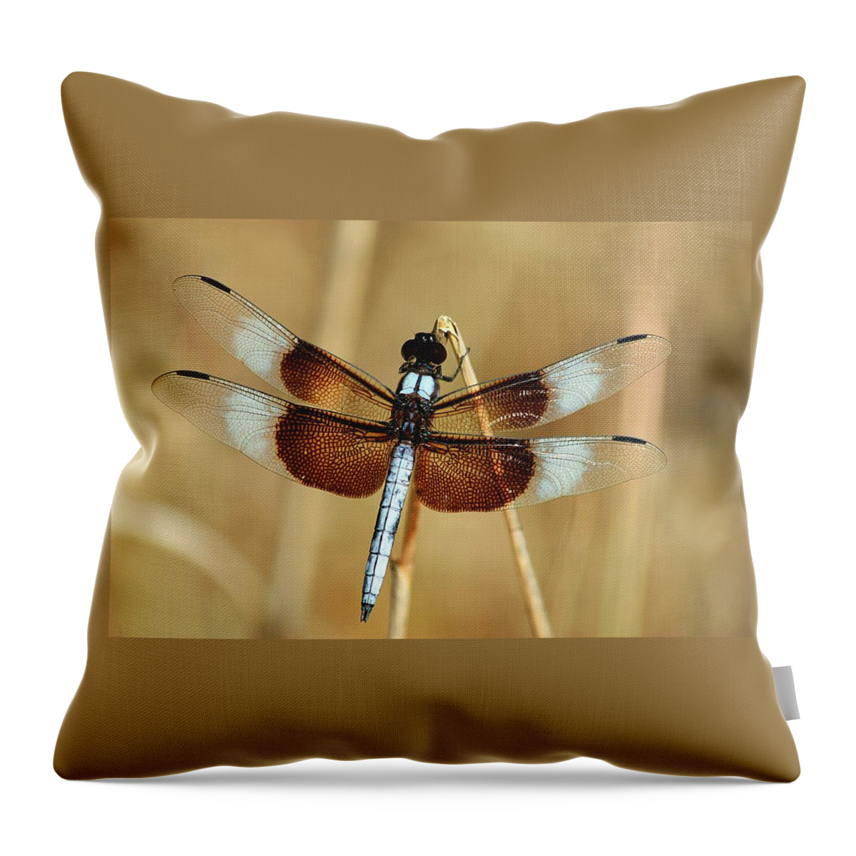 Nature Throw Pillow featuring the photograph Dragonfly on Reed by Sheila Brown