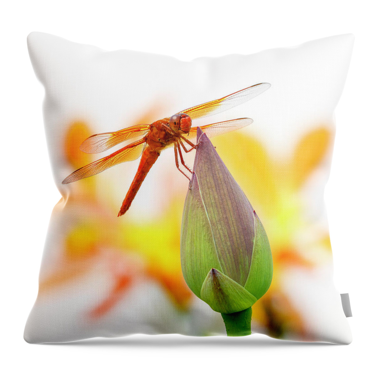 Dragonfly Perch Throw Pillow featuring the photograph Dragonfly Perch by Wes and Dotty Weber