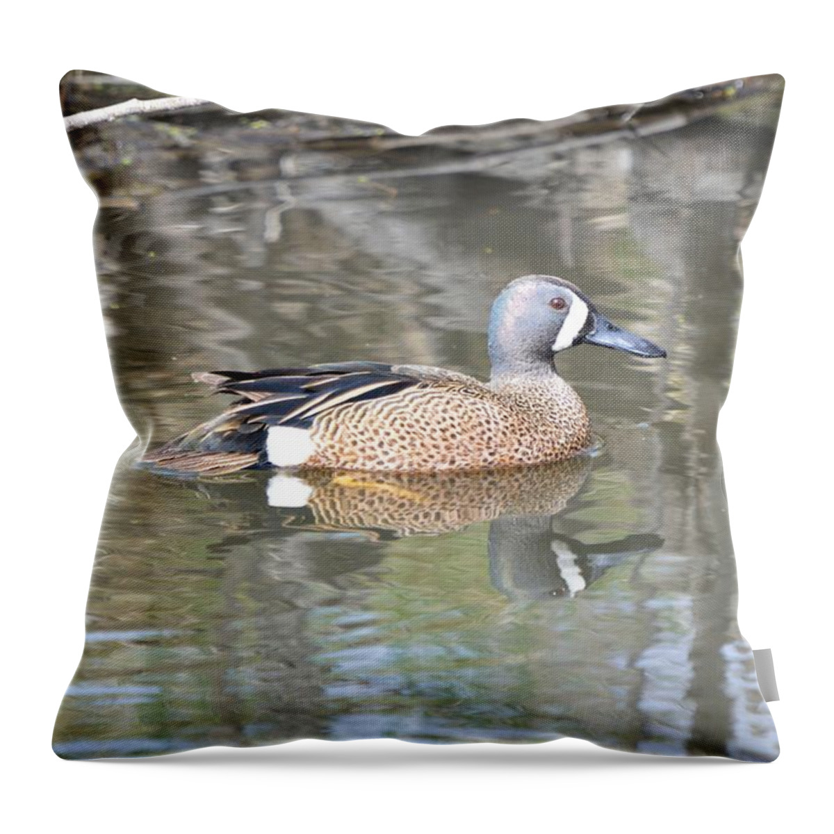 Anas Throw Pillow featuring the photograph Drake Blue Wing by Bonfire Photography