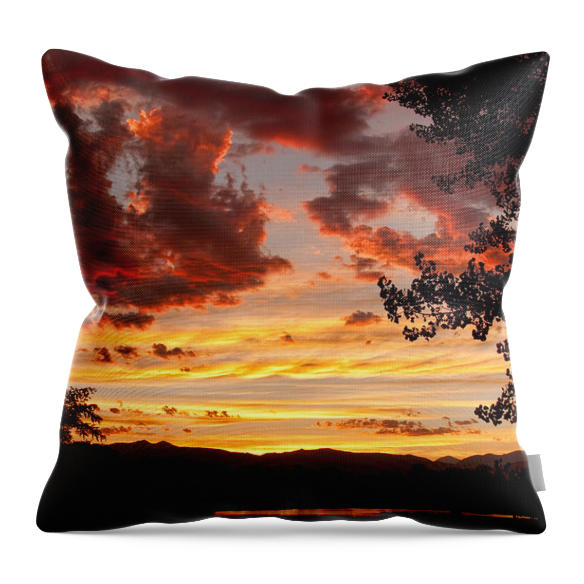 Gold Throw Pillow featuring the photograph Dramatic Sunset Reflection by James BO Insogna