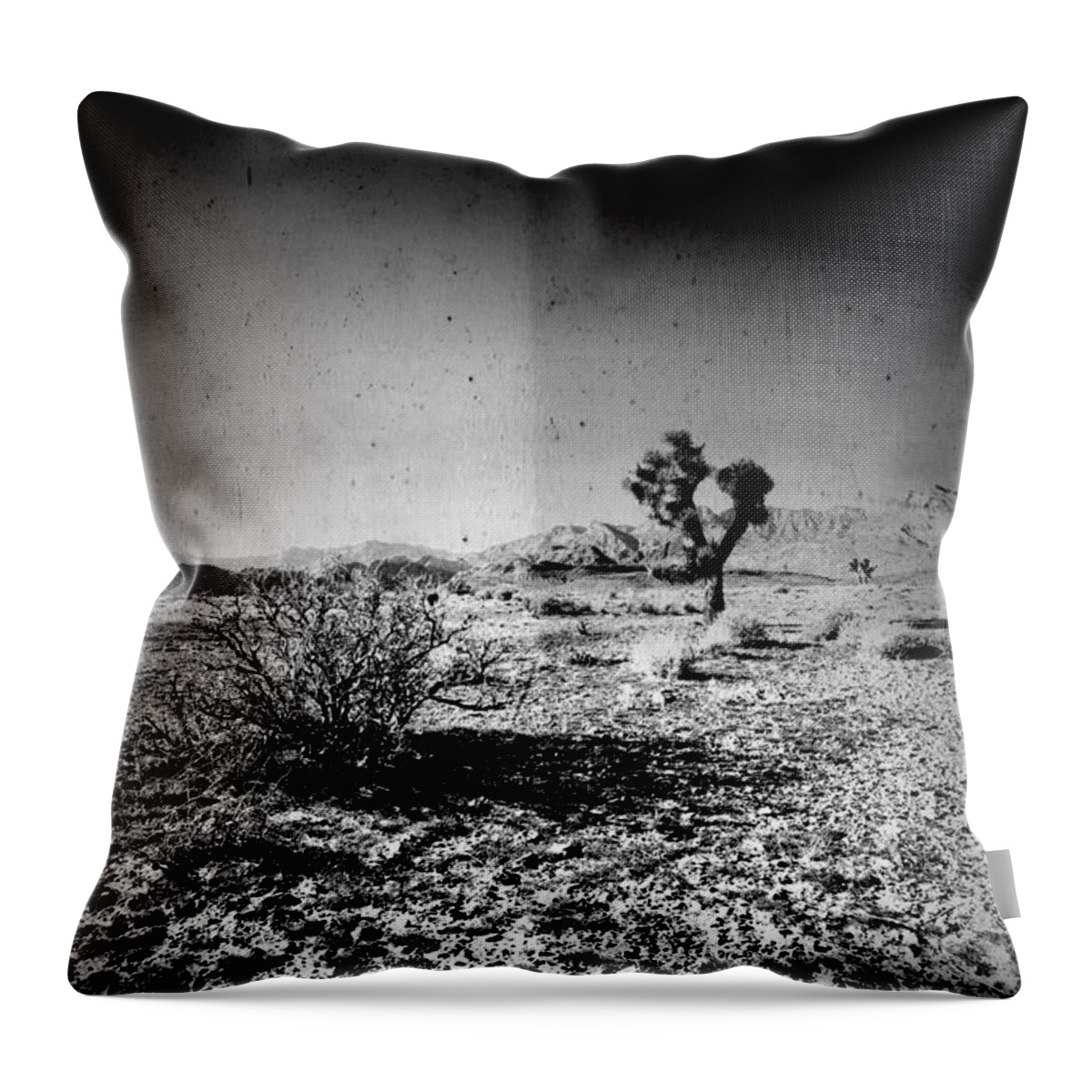 Desert Throw Pillow featuring the photograph Crawl by Mark Ross