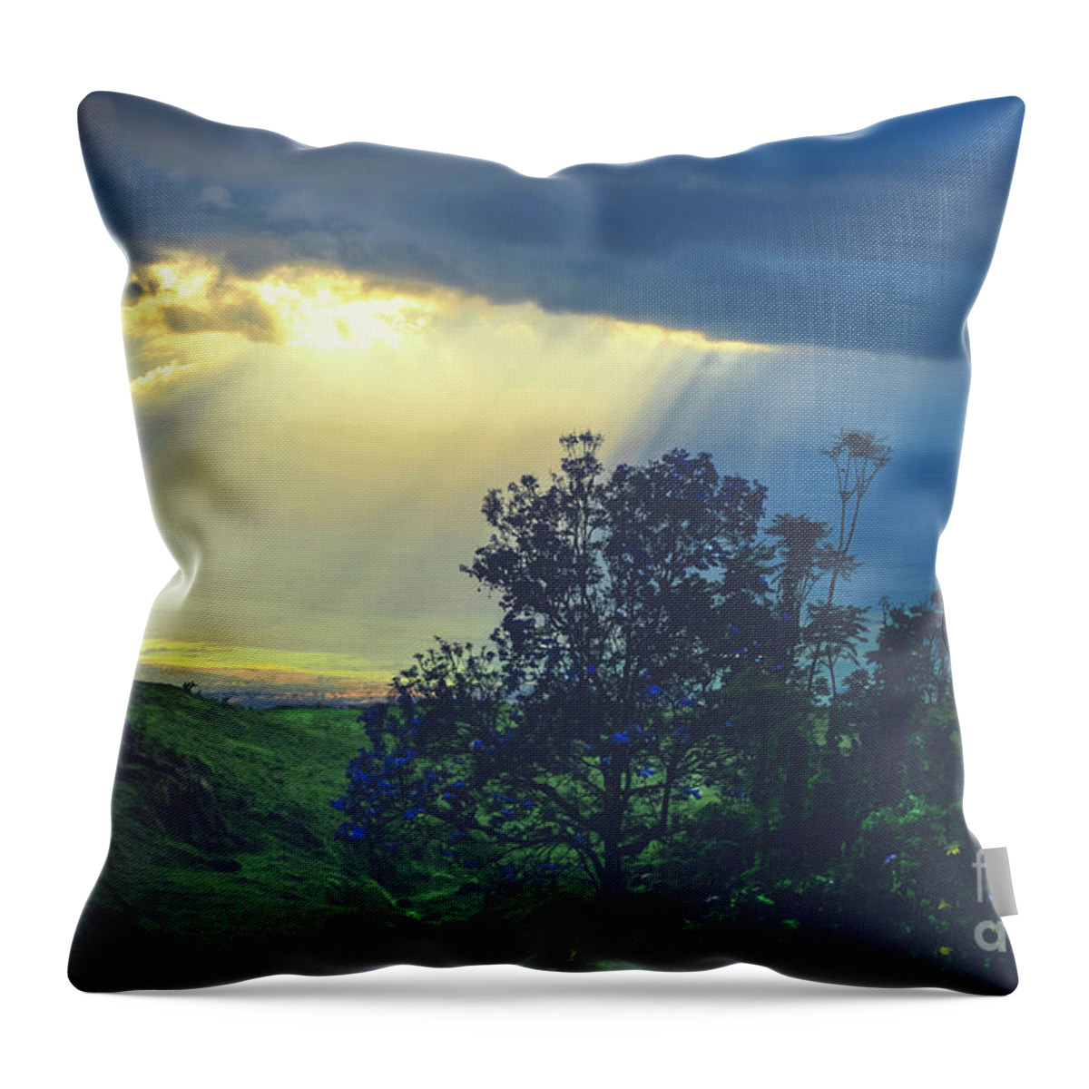 Dream Of Mortal Bliss Throw Pillow featuring the photograph Dream of Mortal Bliss by Sharon Mau