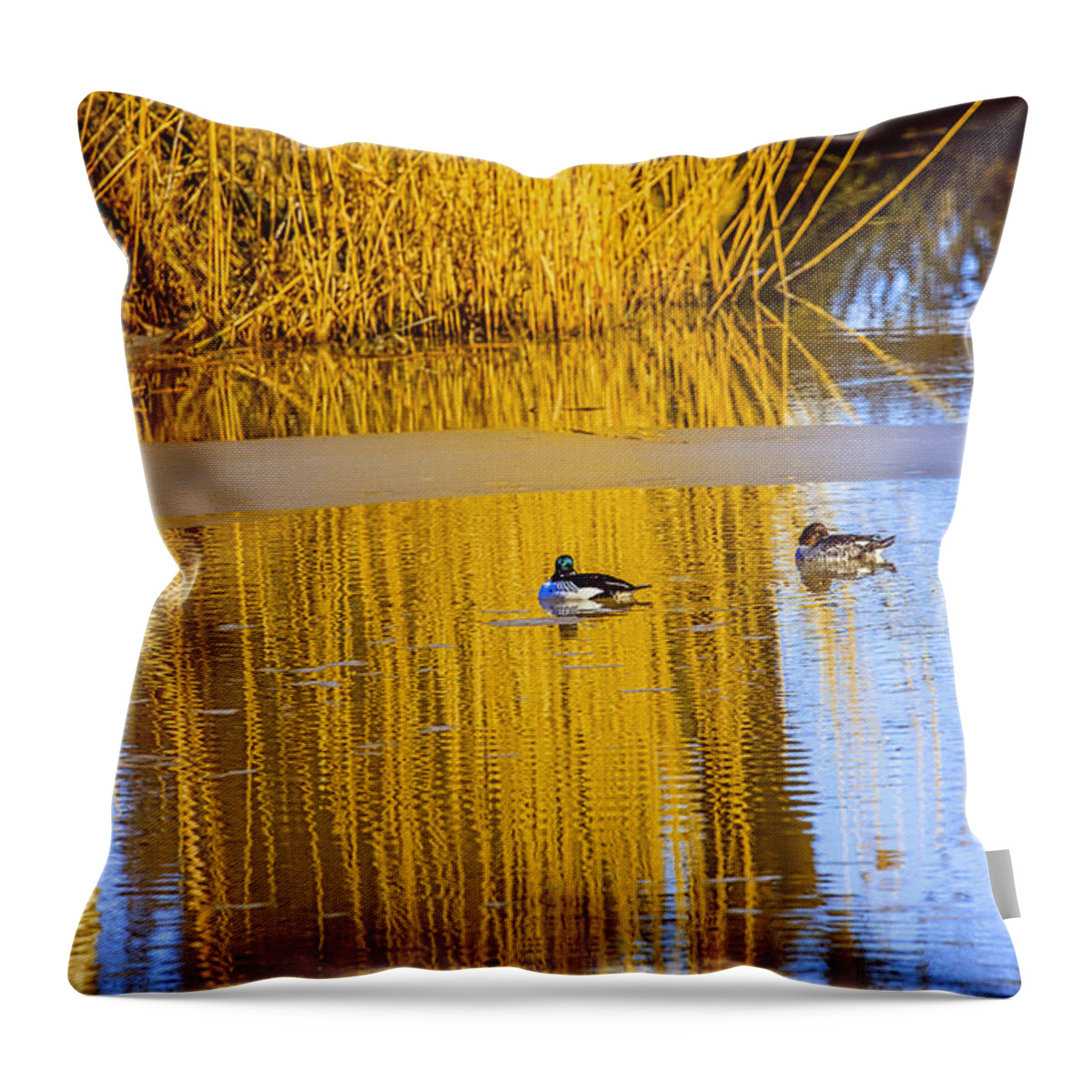Dream.dreaming.bird Throw Pillow featuring the photograph Dreaming by Leif Sohlman