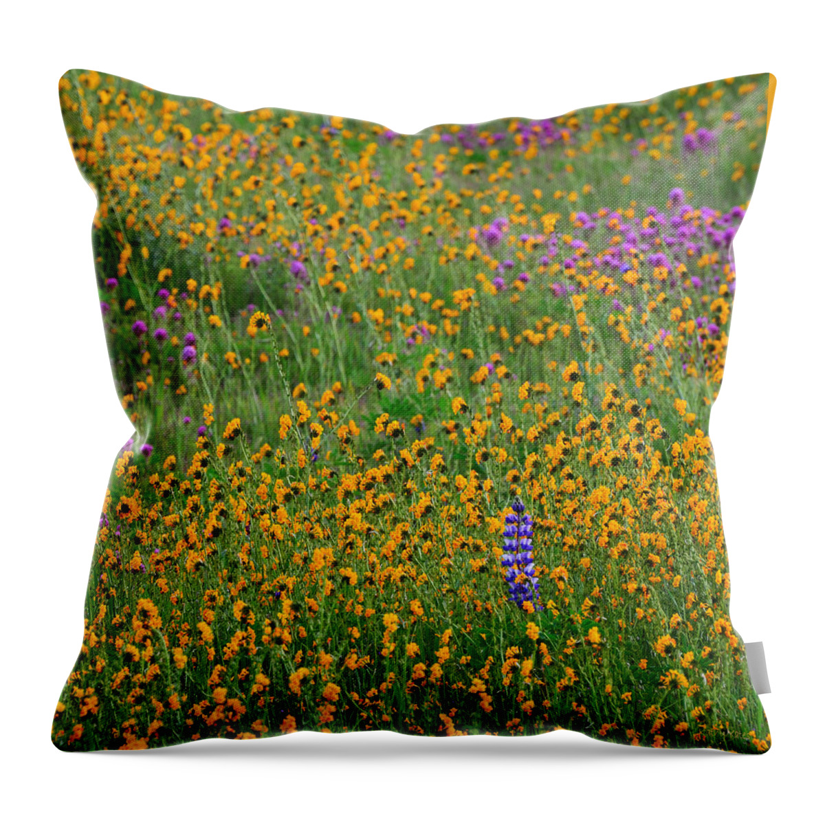 Wildflowers Throw Pillow featuring the photograph Dreaming of Monet by Kathy Yates