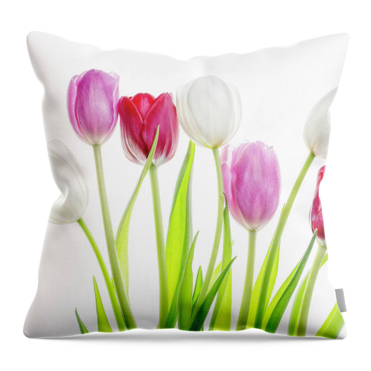 Tulips Throw Pillow featuring the photograph Dreaming of Spring by Rebecca Cozart