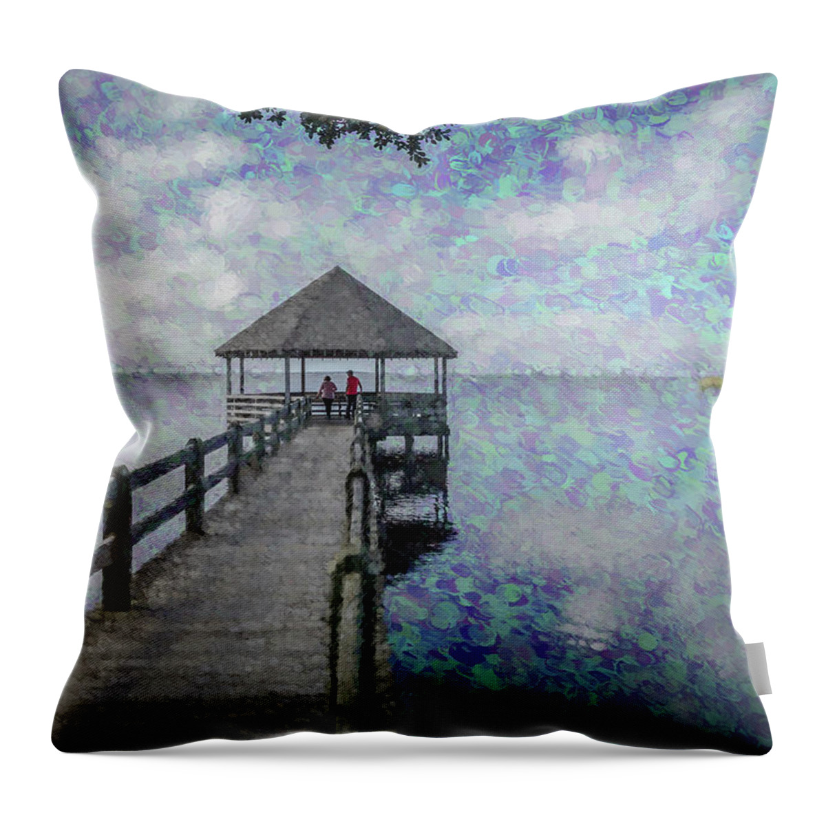 2016 Throw Pillow featuring the photograph Dreaming Together by Wade Brooks