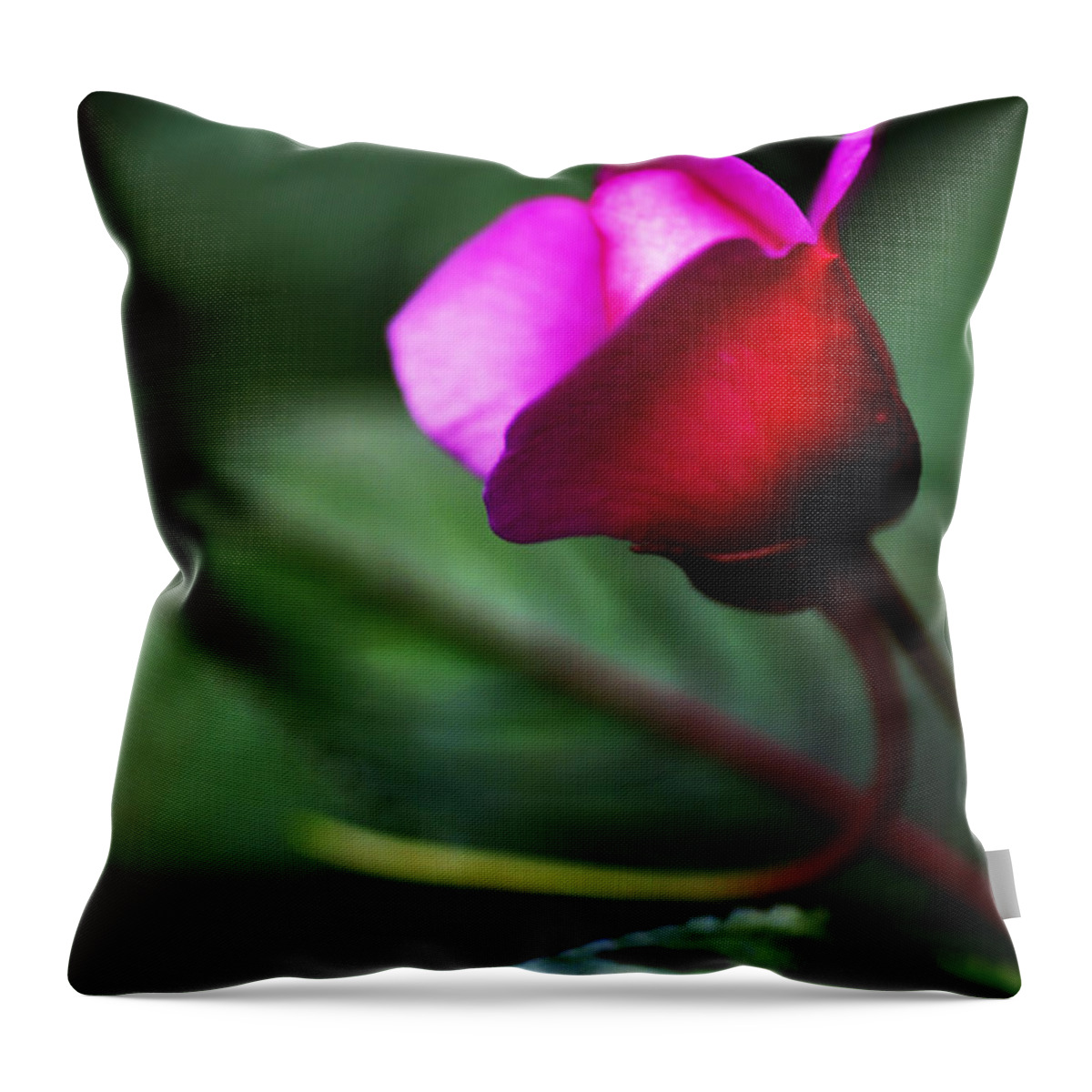 Rose Throw Pillow featuring the photograph Dreams Realized by Linda Shafer