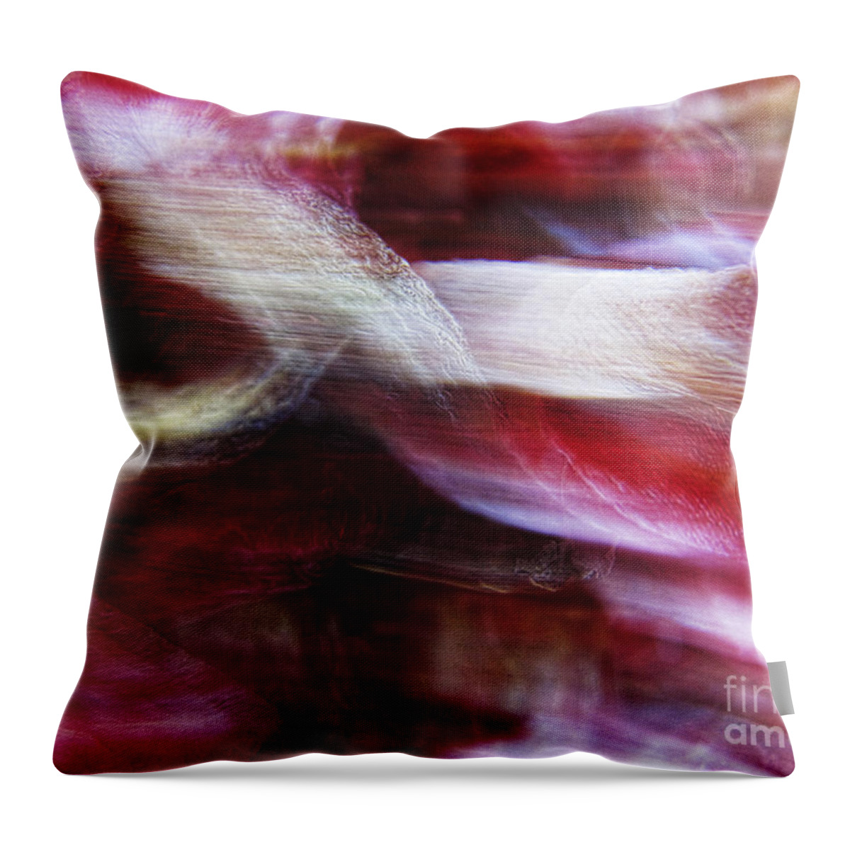 Dream Throw Pillow featuring the photograph Dreamscape-3 by Casper Cammeraat
