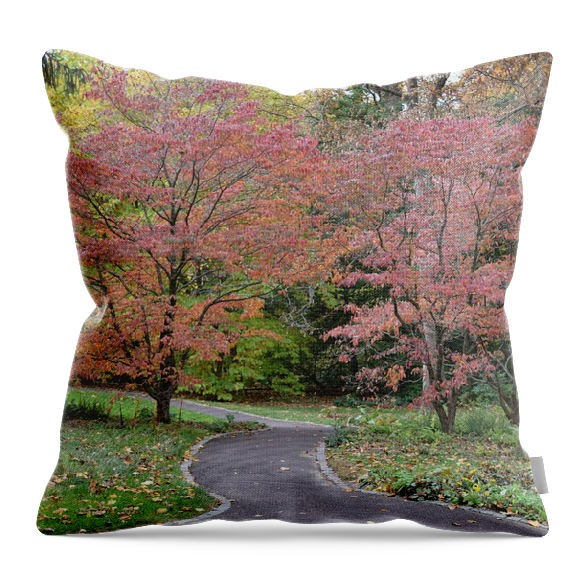 Tree Throw Pillow featuring the photograph Dreamwalk by Deborah Crew-Johnson