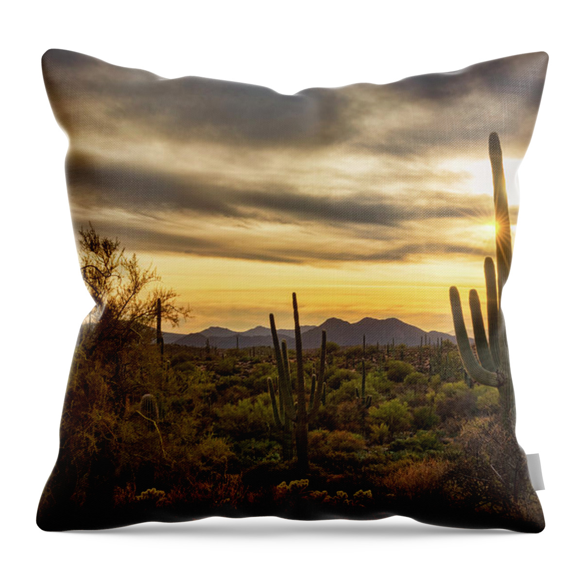 Sunset Throw Pillow featuring the photograph Dreamy Desert by Saija Lehtonen