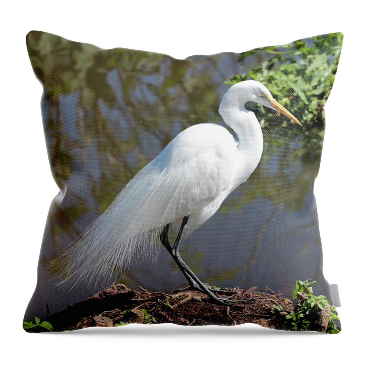 Great Egret Throw Pillow featuring the photograph Dreamy Great Egret by Carol Groenen
