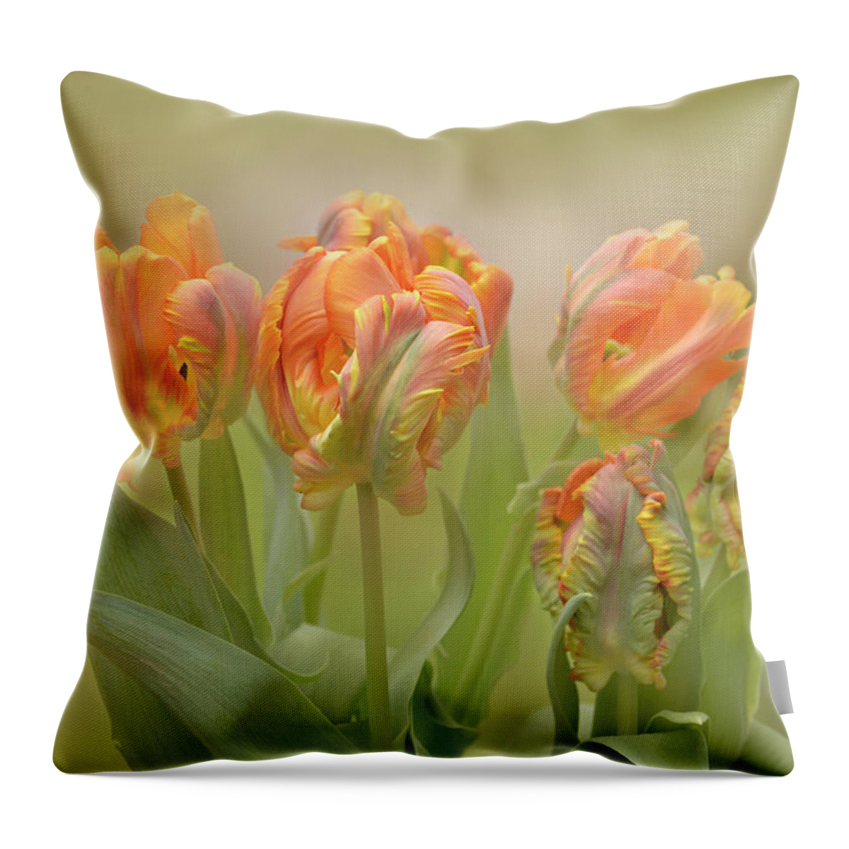 Abstract Throw Pillow featuring the photograph Dreamy Parrot Tulips by Ann Bridges