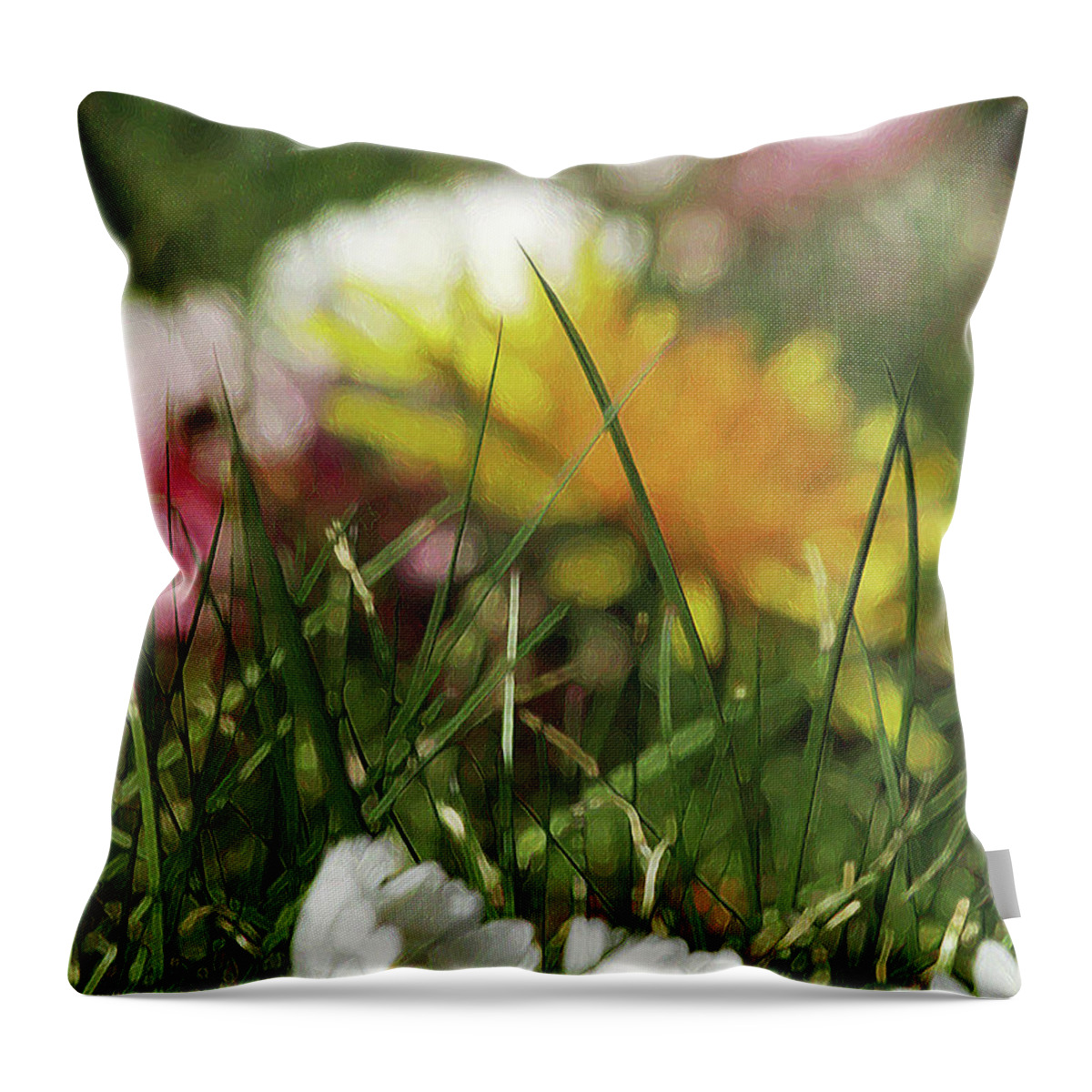 Grass Throw Pillow featuring the photograph Dreamy Spring by Kim Tran