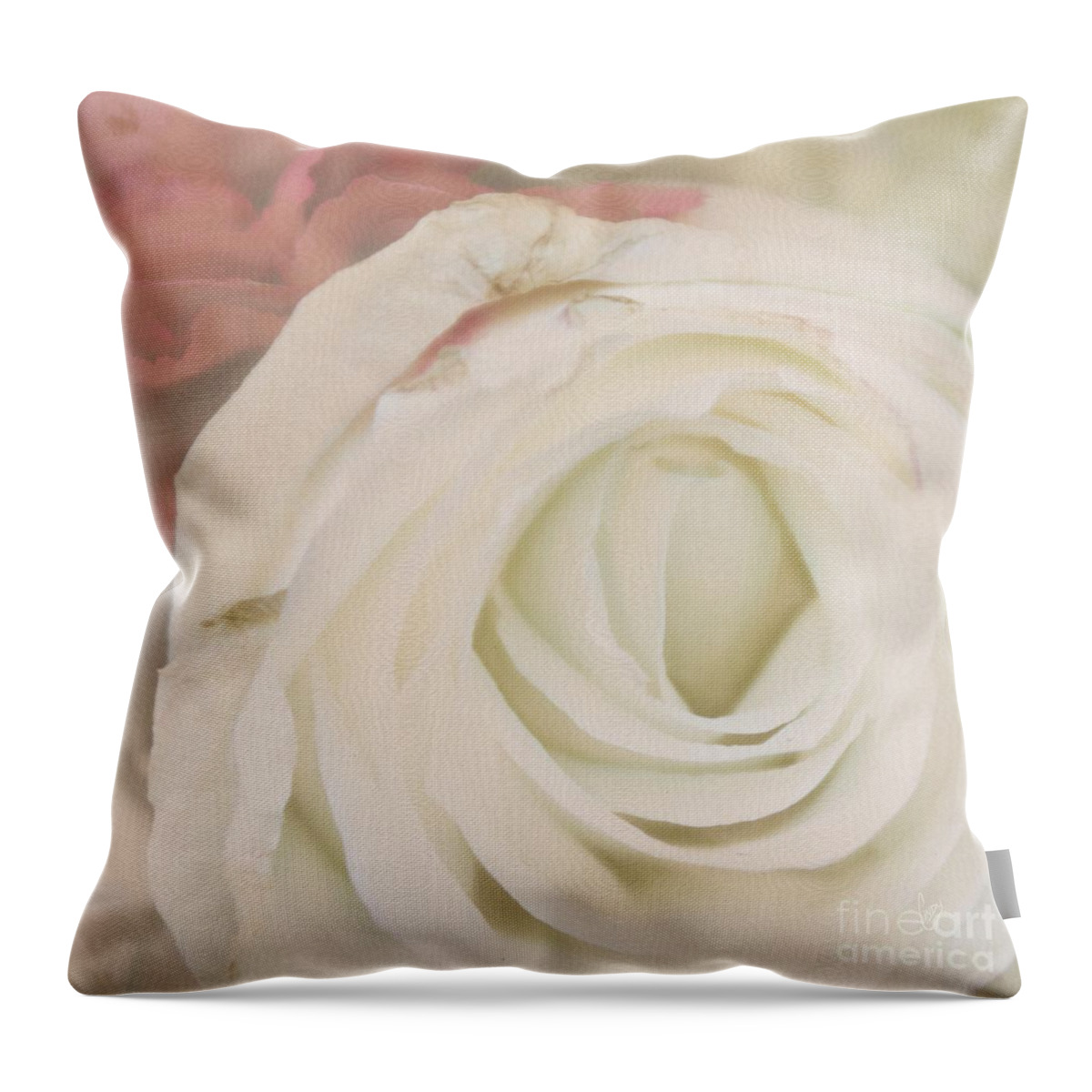 Rose Throw Pillow featuring the photograph Dressed in white satin by Cindy Garber Iverson
