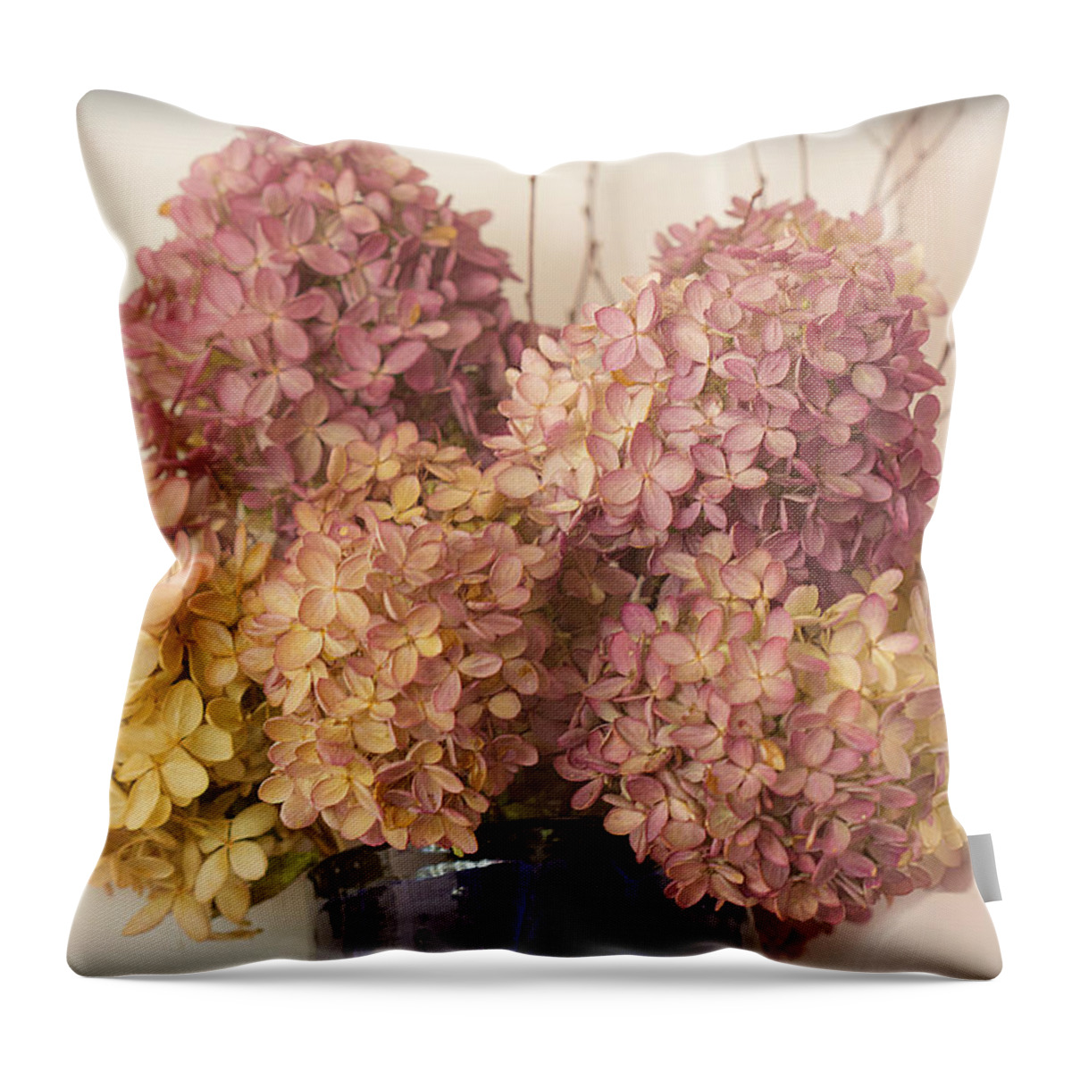 Fine Art Throw Pillow featuring the photograph Dried Hydrangea by Michael Friedman