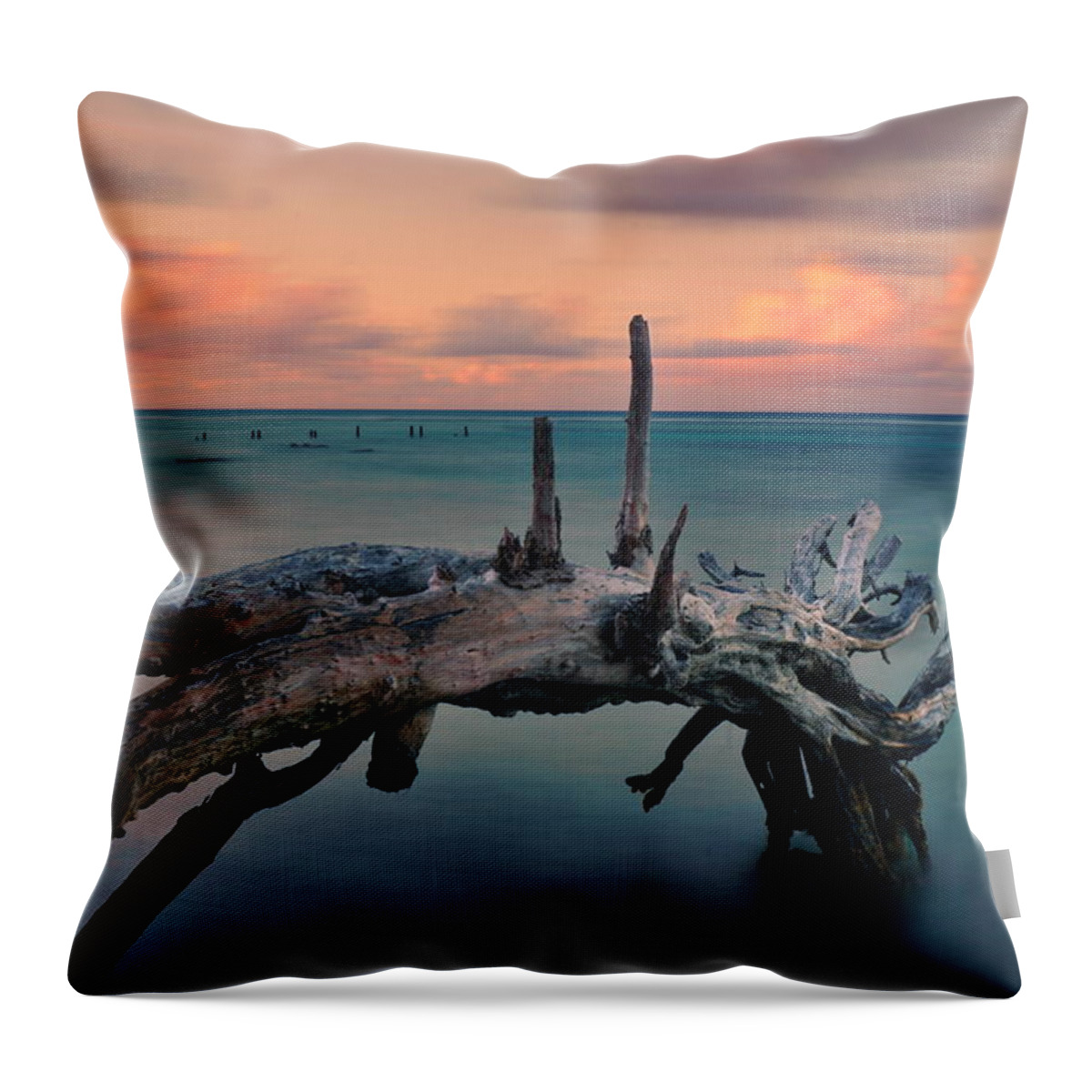Ocean Throw Pillow featuring the photograph Driftwood by Amanda Jones