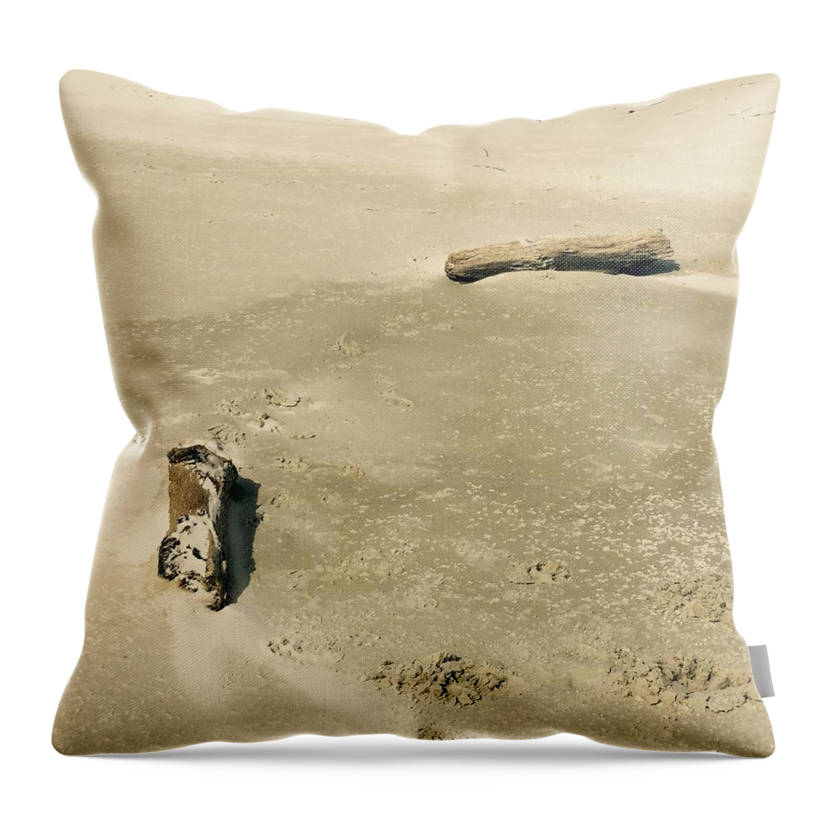 Landscape Throw Pillow featuring the photograph Driftwood by Amber Skinner