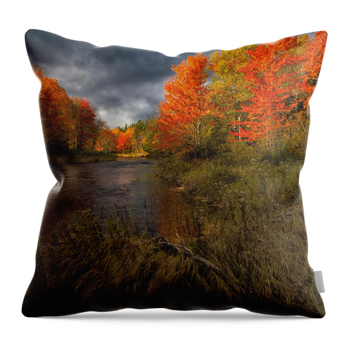 Kelly River Wilderness Area Throw Pillow featuring the photograph Driftwood And Autumn Colors by Irwin Barrett