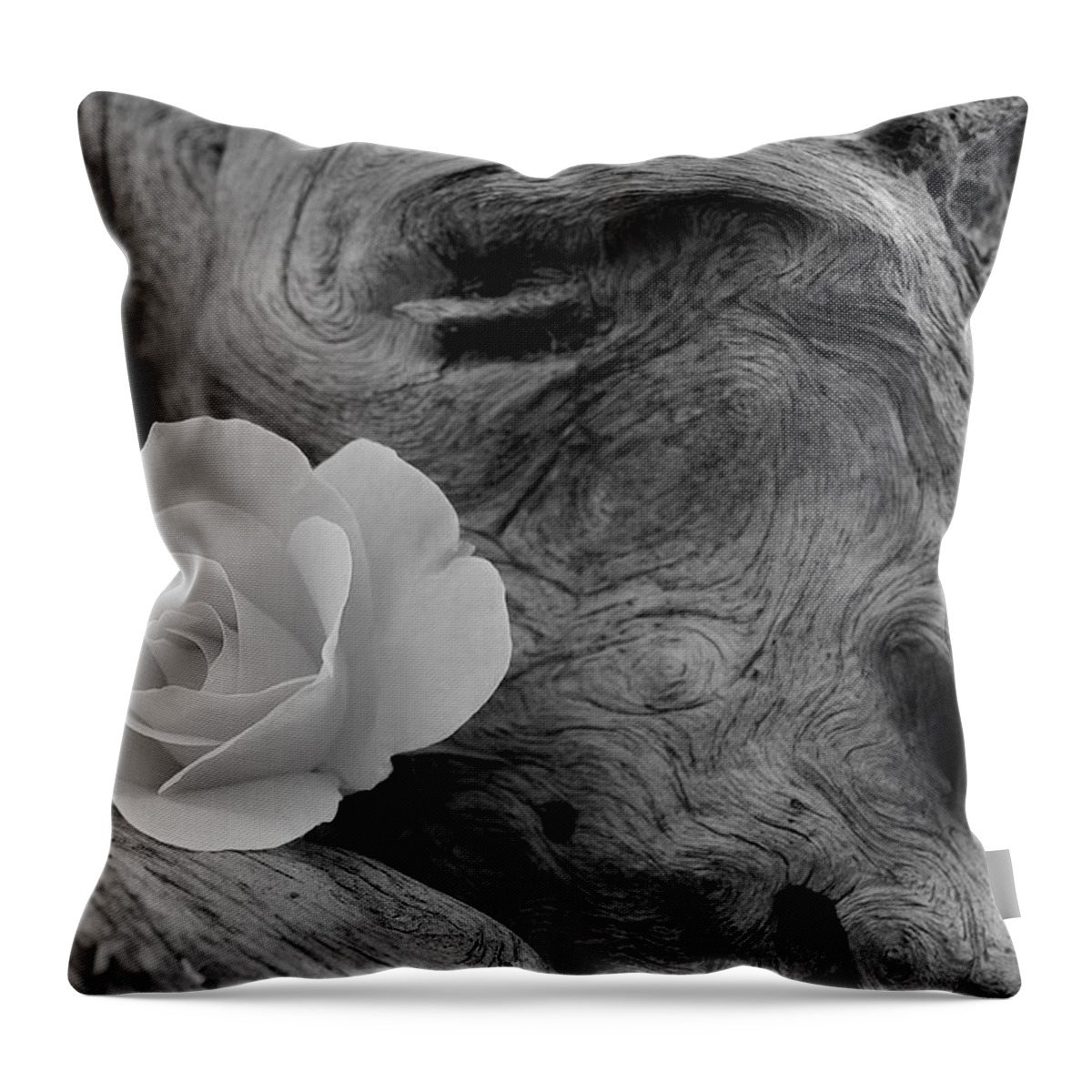 Flower Throw Pillow featuring the photograph Driftwood and Roses by Michael Peychich