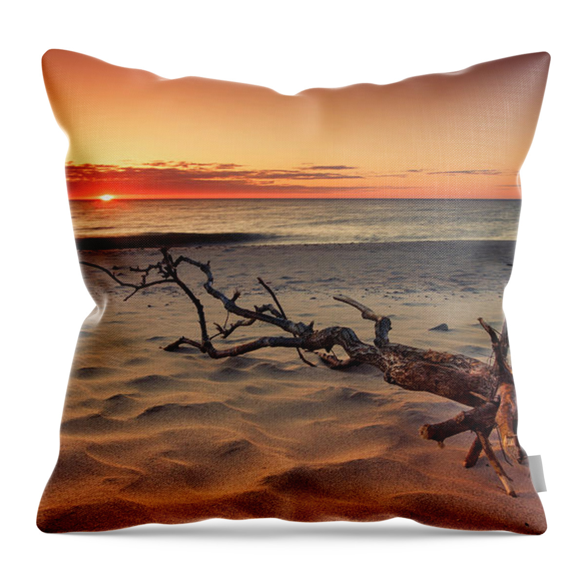 Unbelievable Throw Pillow featuring the photograph Driftwood And Unbelievable Ocean Sunrise At Nauset Beach by Darius Aniunas