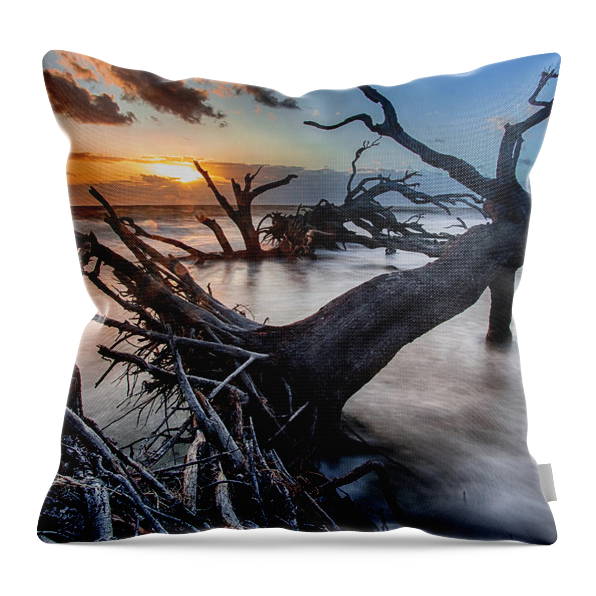 Landscape Throw Pillow featuring the photograph Driftwood Beach 6 by Dillon Kalkhurst