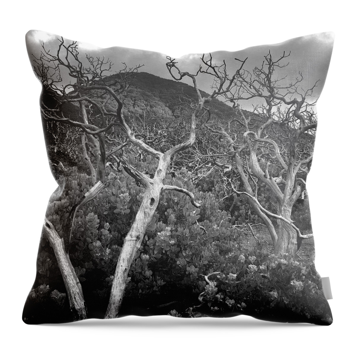 Mist Throw Pillow featuring the digital art Driftwood by Kevyn Bashore