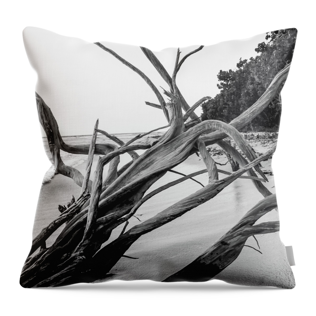Fine Art Throw Pillow featuring the photograph Driftwood on Reef Bay Shoreline by Kelly VanDellen