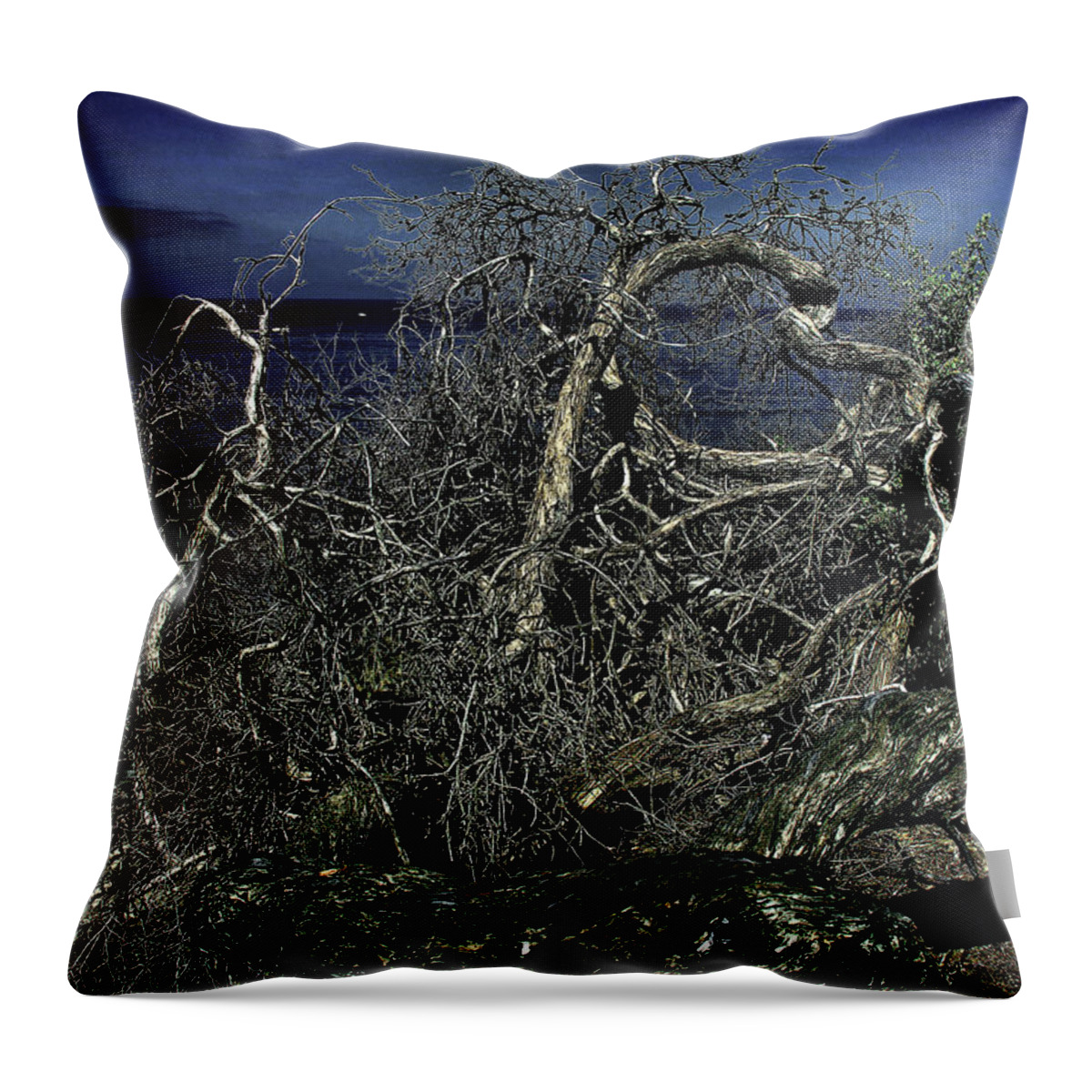 Tree Throw Pillow featuring the photograph Driftwood on Shore by Joseph Hollingsworth