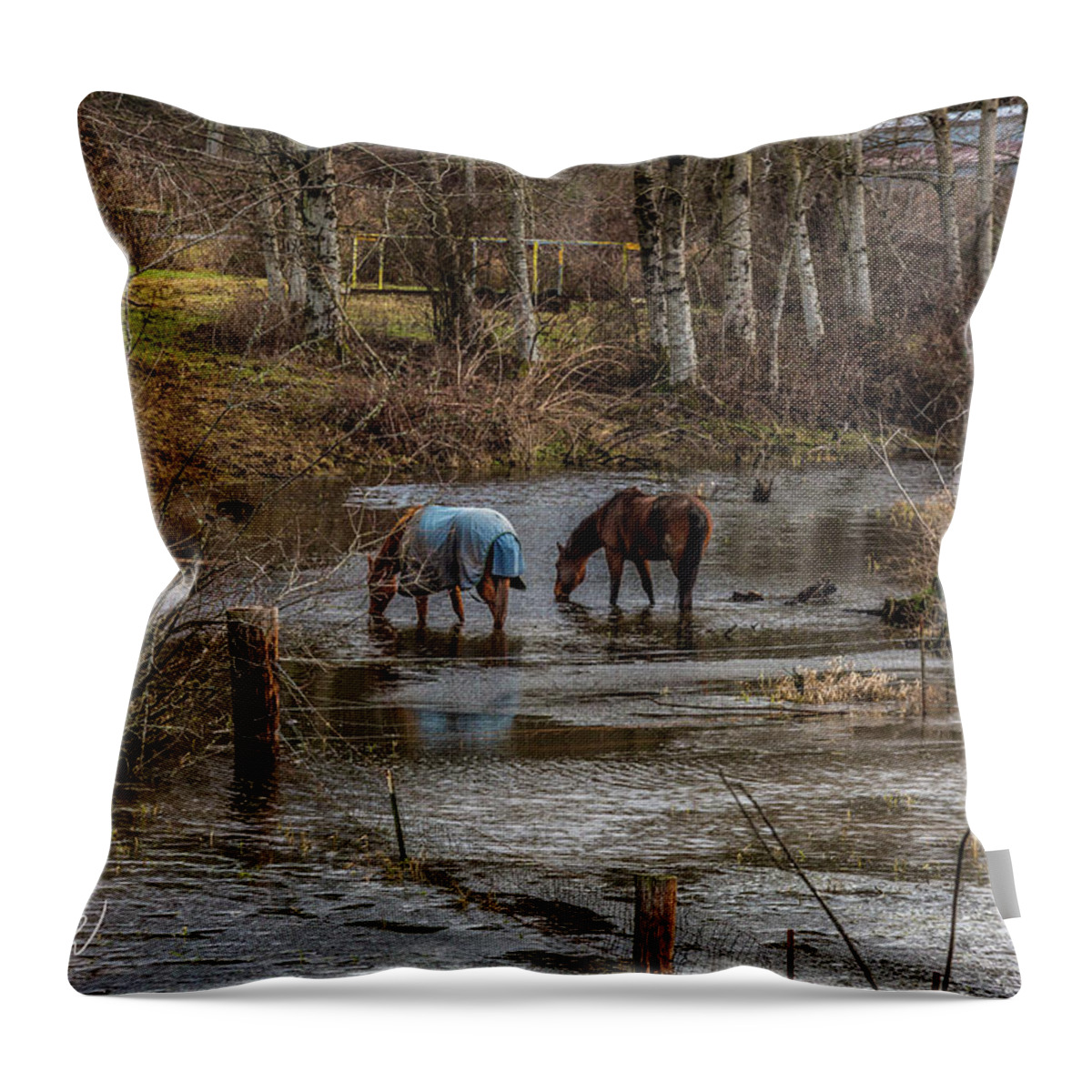Animals Throw Pillow featuring the photograph Drinking Horses by Mark Joseph