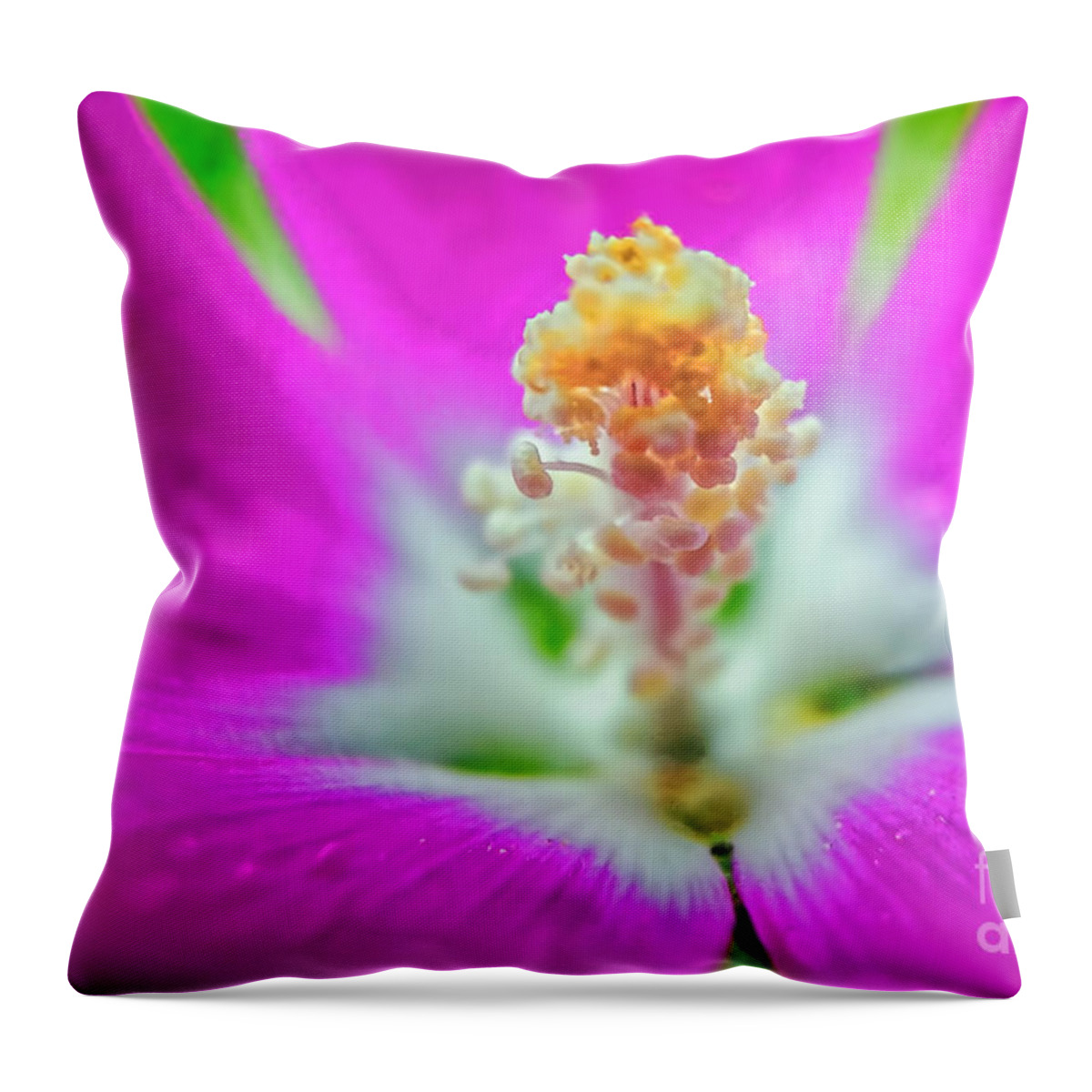 Drink It In Throw Pillow featuring the photograph Drinking It In by Gary Holmes