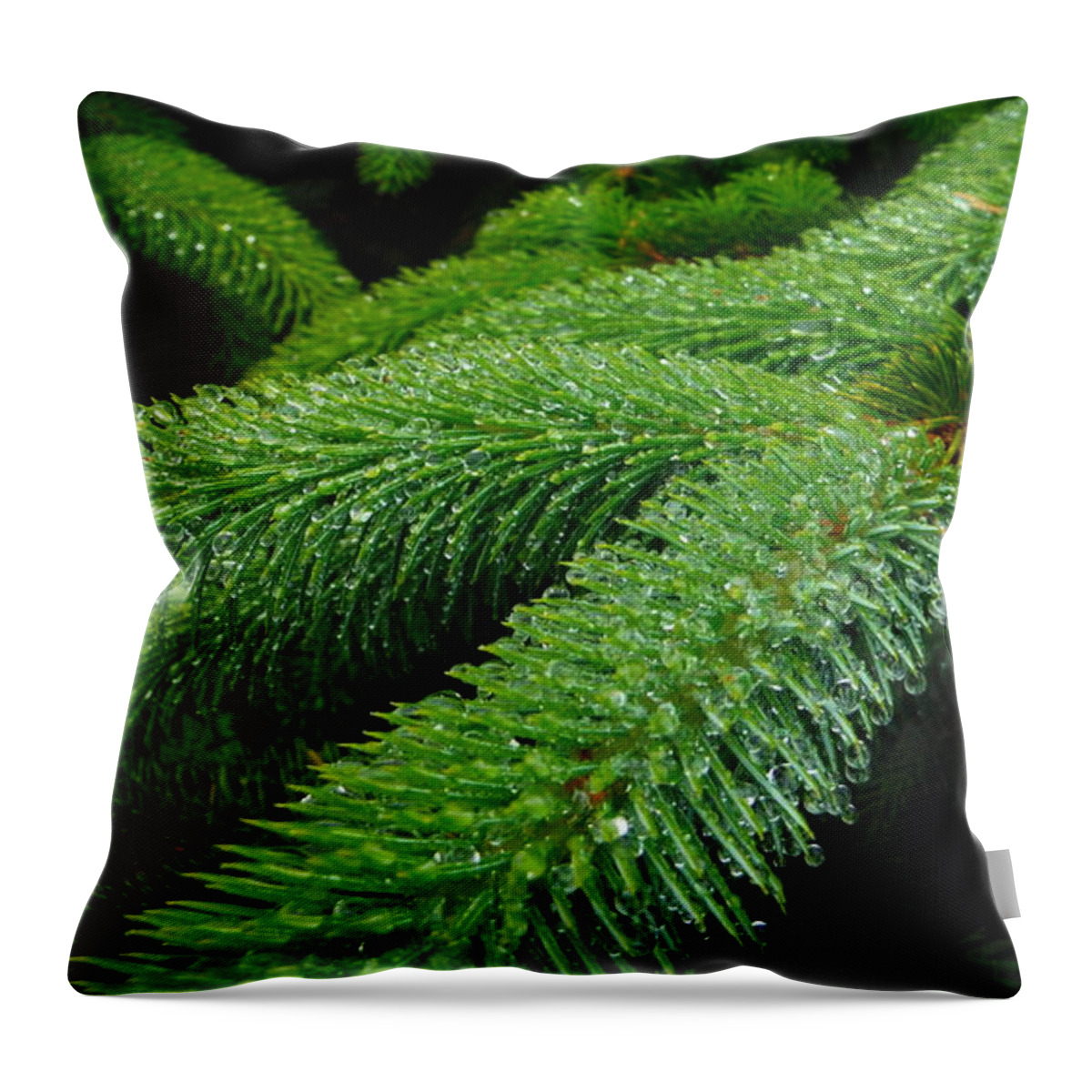 Dripping Oregon Coastal Pines Throw Pillow featuring the photograph Dripping Oregon Coastal Pines by Paddy Shaffer