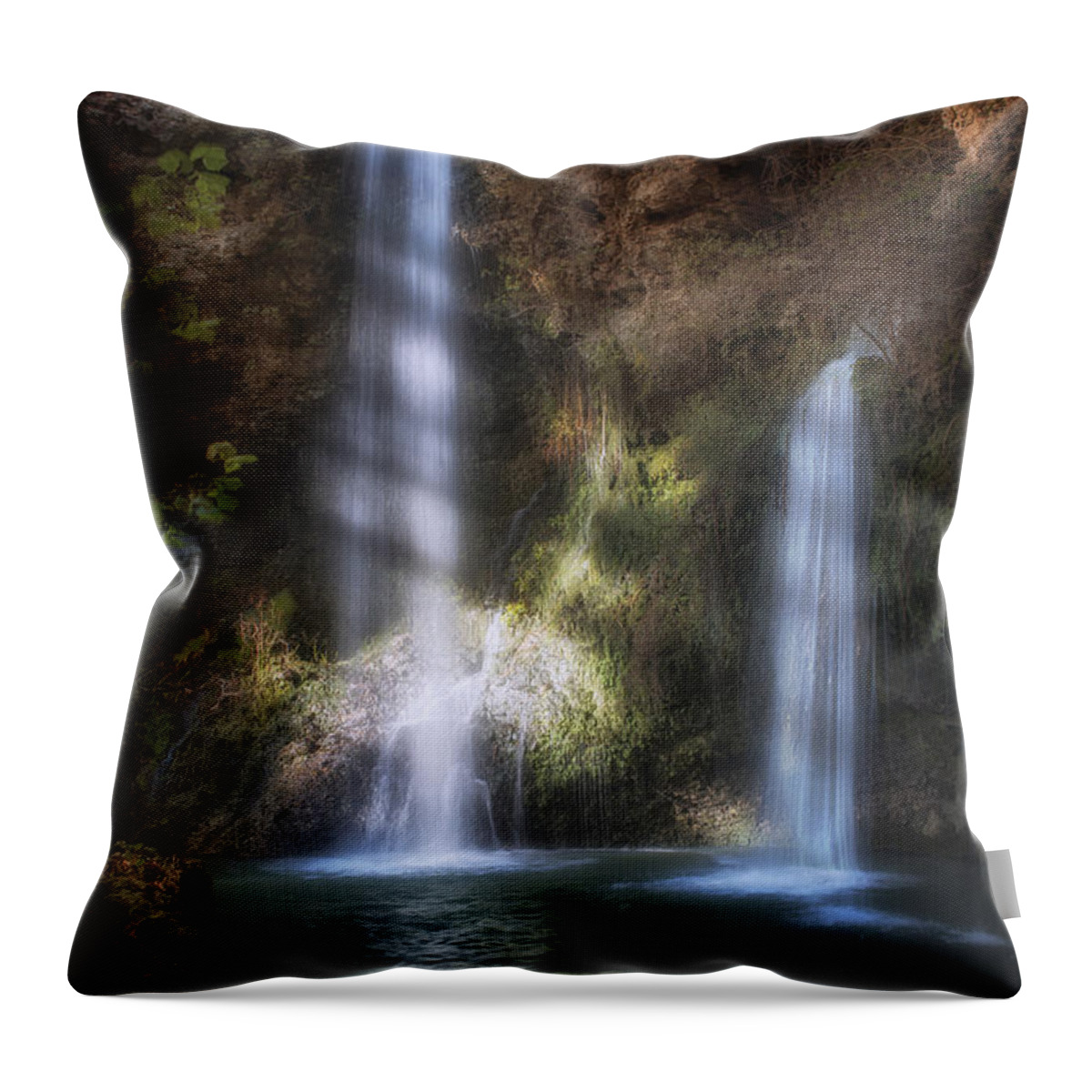 Tree Throw Pillow featuring the photograph Dripping Springs Falls by Tamyra Ayles