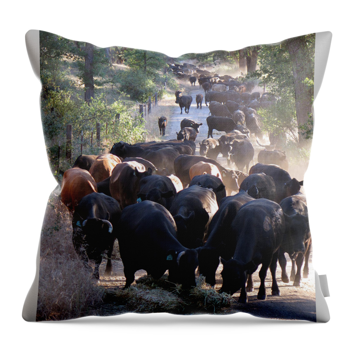 Cattle Drive Throw Pillow featuring the photograph Drive Through Diner by Diane Bohna