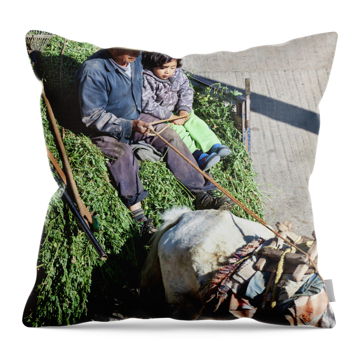 Man Throw Pillow featuring the photograph Driving lesson by Tatiana Travelways