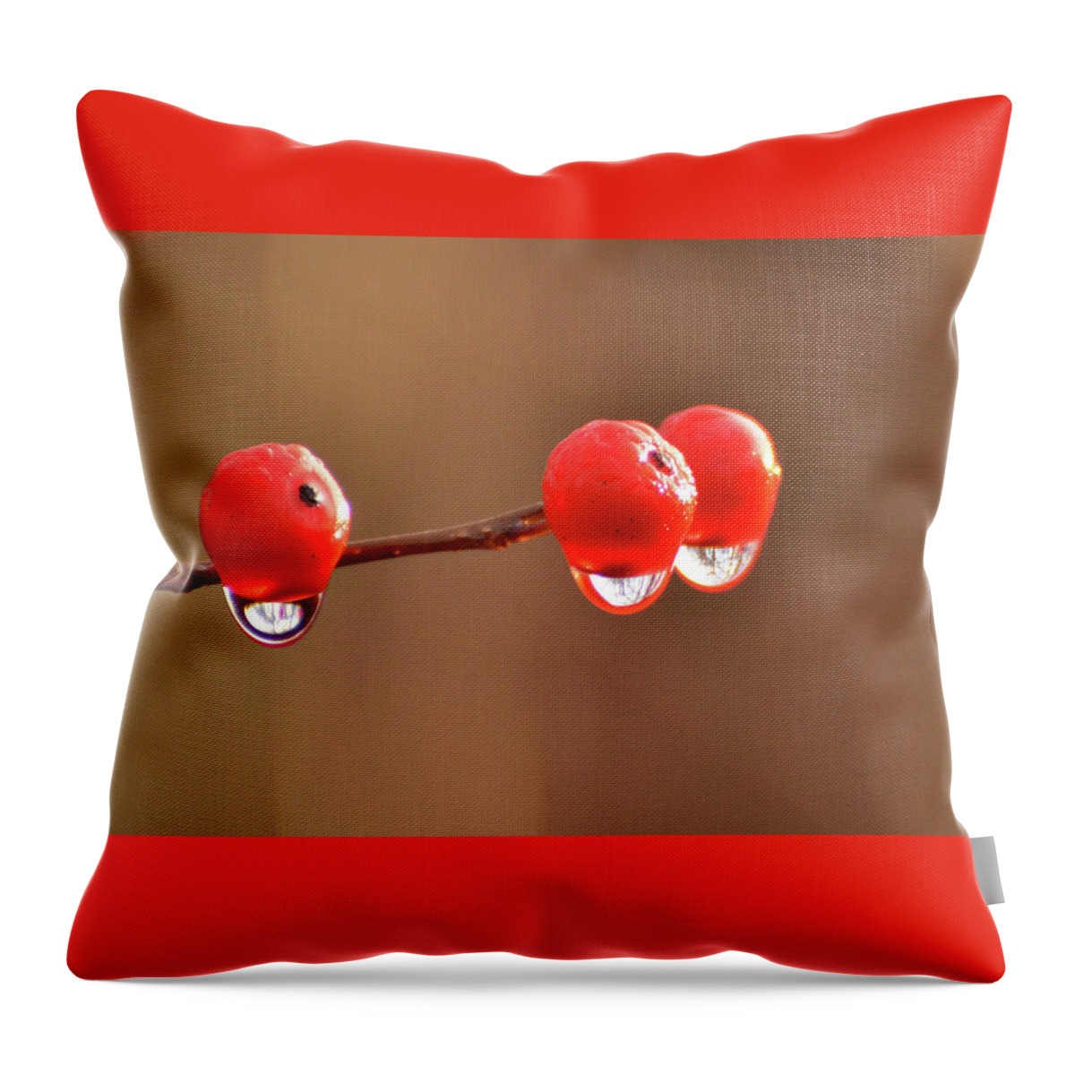 Droplets Throw Pillow featuring the photograph Droplets by Nancy Landry