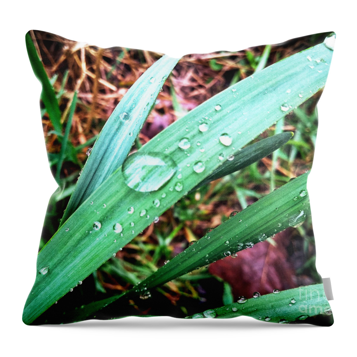Water Throw Pillow featuring the photograph Droplets by Robert Knight