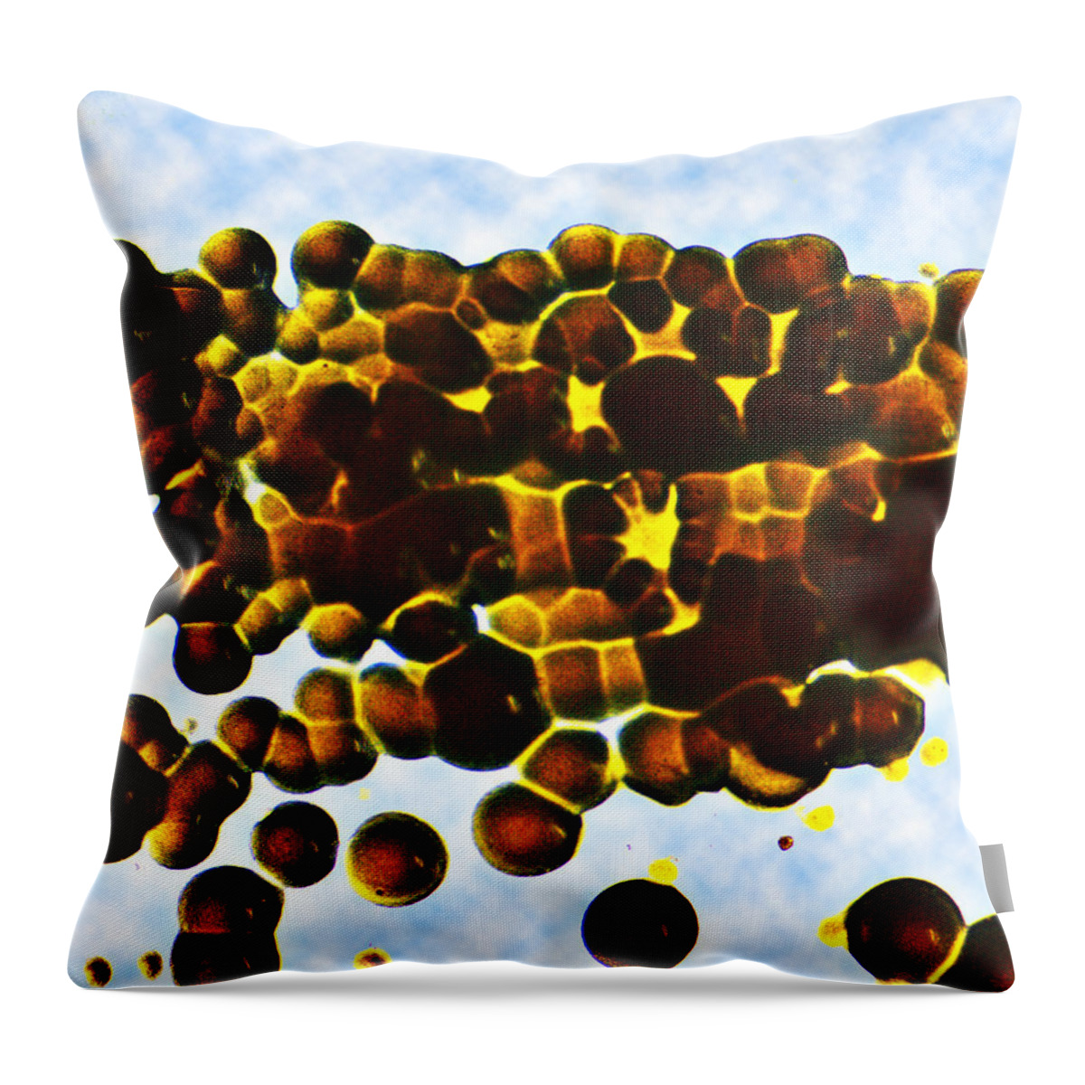 Microscopic Photo Throw Pillow featuring the photograph Dropping Off by Rein Nomm