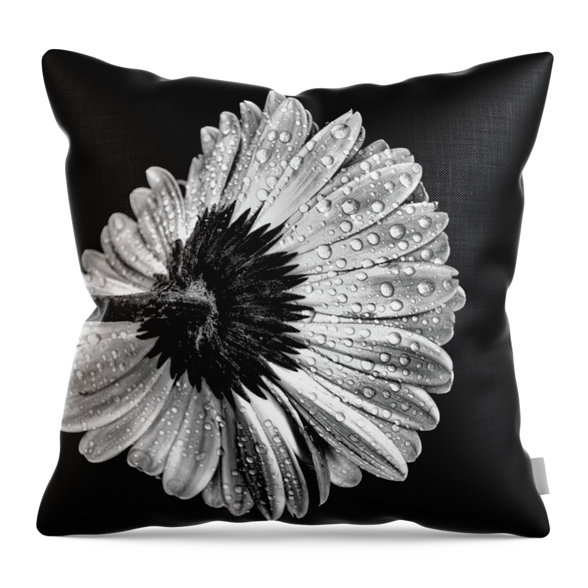 Black And White Throw Pillow featuring the photograph Drops on the flower 2 by Lilia S