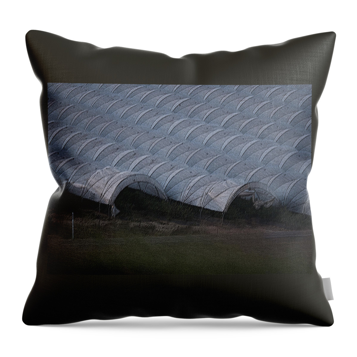 Moisture Covers Throw Pillow featuring the photograph Drought Protection by Jessica Levant
